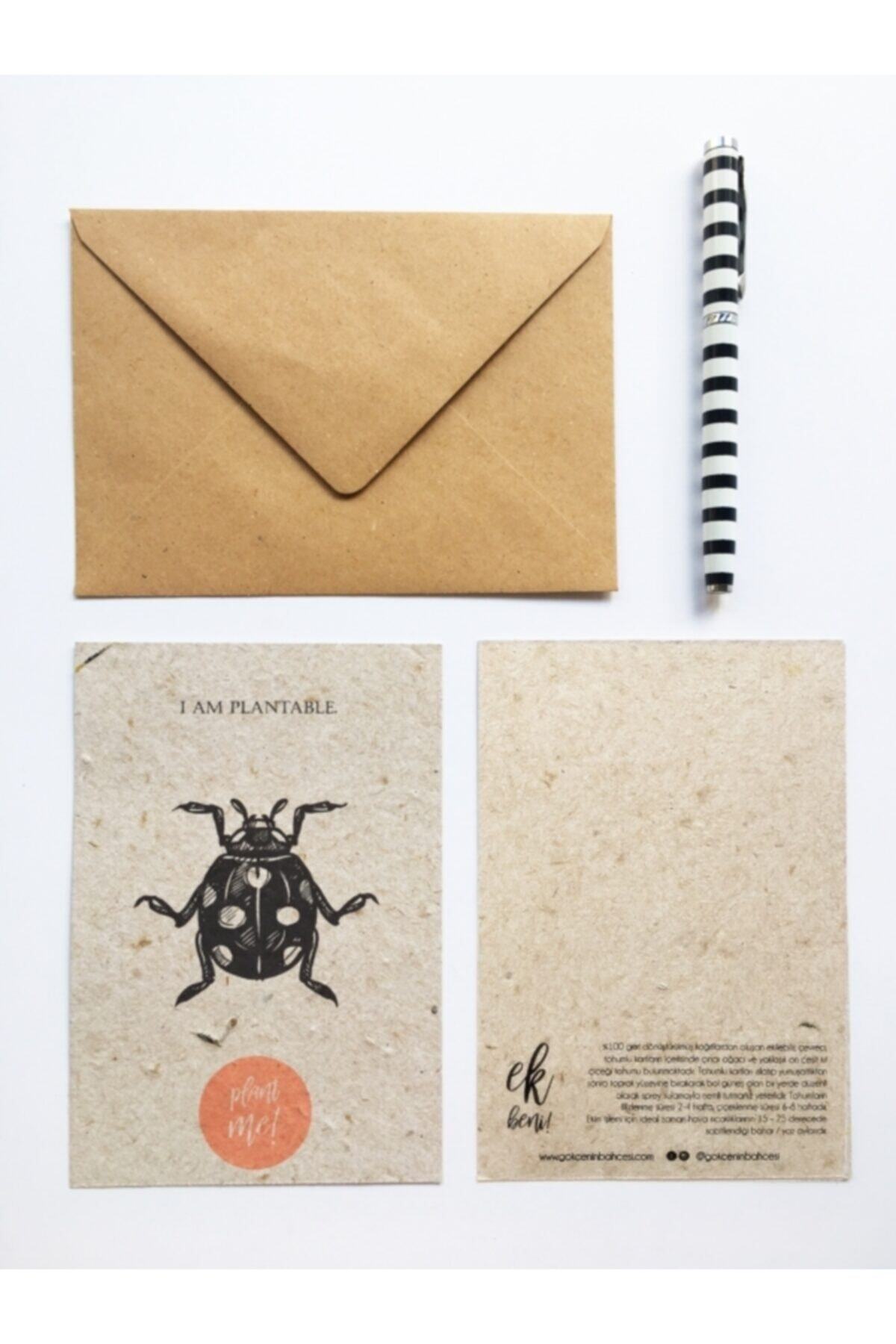 Gökçe'nin Bahçesi Ek Beni Tohumlu Kartpostal Insects 5