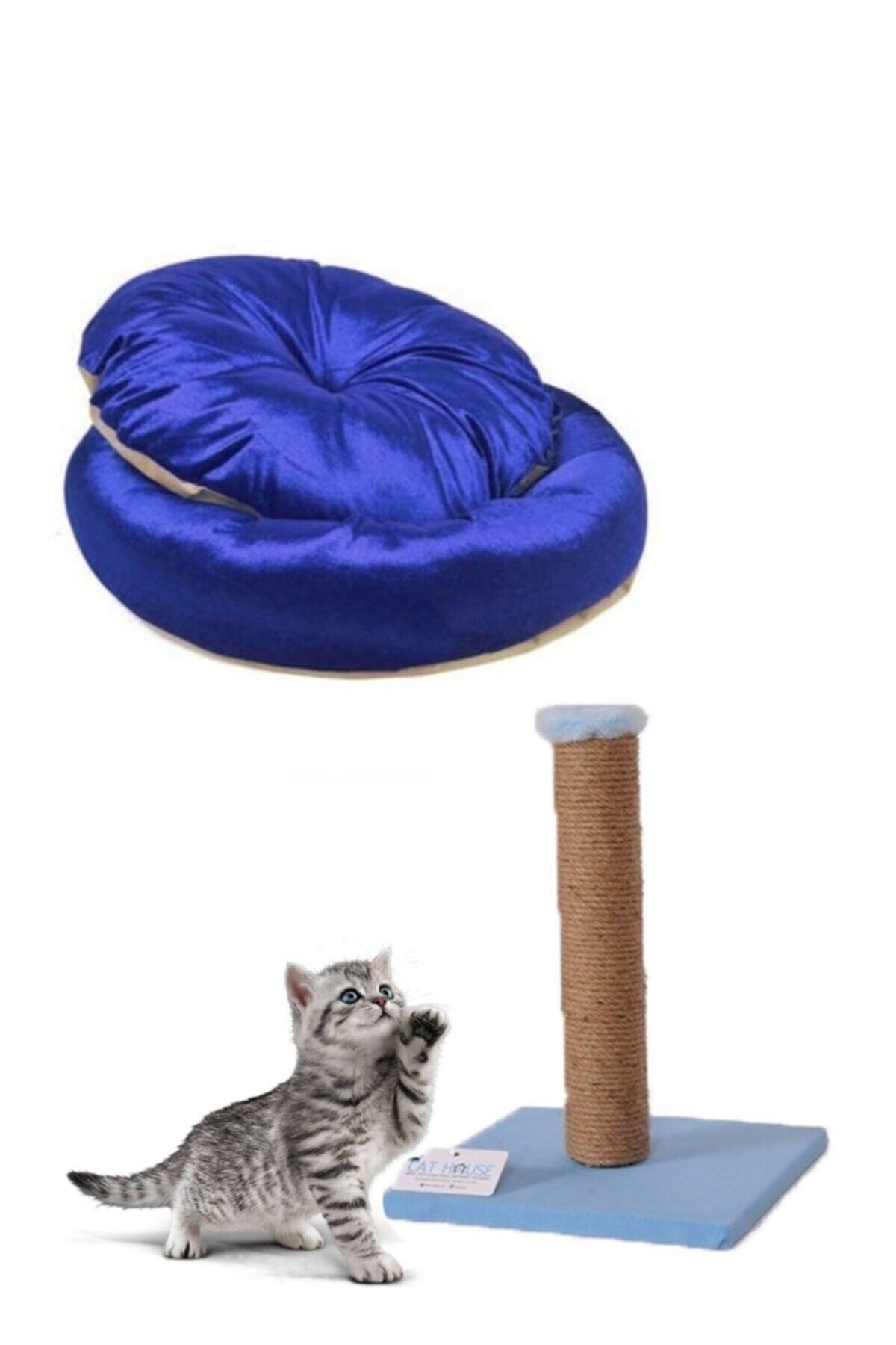 Pet Style Mavi Kedi Yatağı Ve Kedi Tırmalama Tahtası
