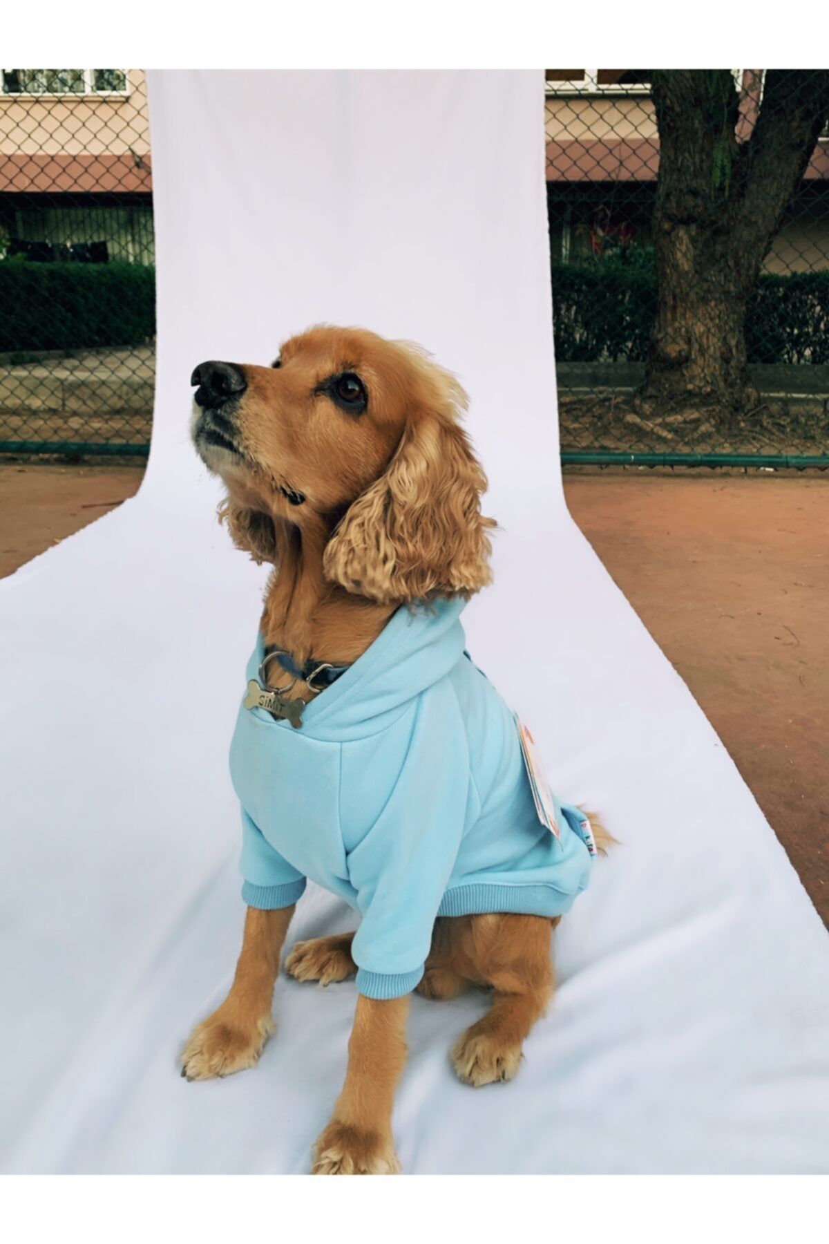 Pookita Biggy Sweatshirt