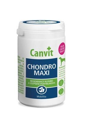 Kopek Vitamini Modelleri Fiyatlari Trendyol