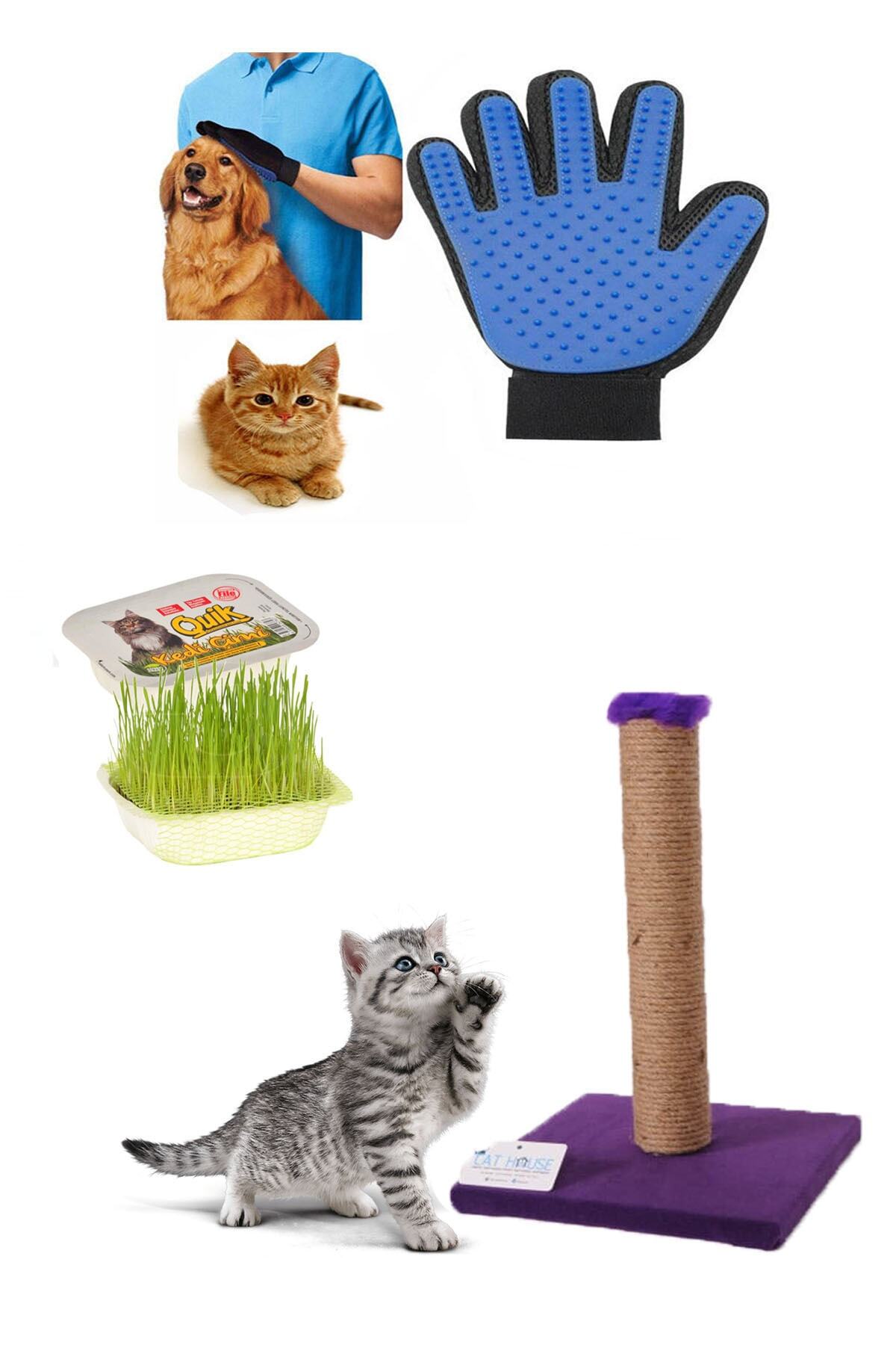 Pet Style Kedi Bakım Seti