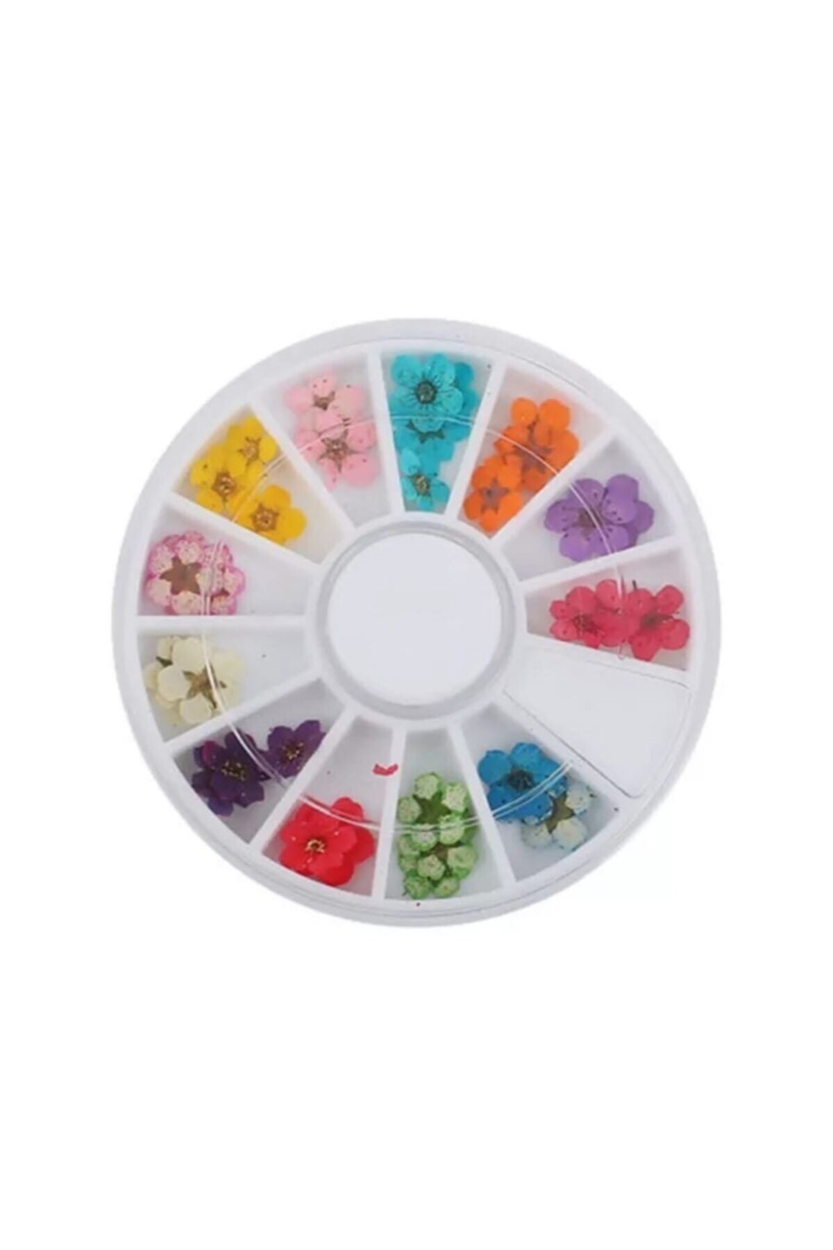 Pinpai Nail Art Kurutulmuş Çiçek (teker) F626