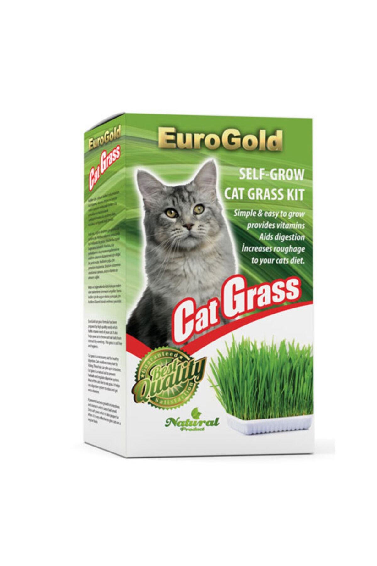 HİLALSHOP Eurogold Kedi Çimi