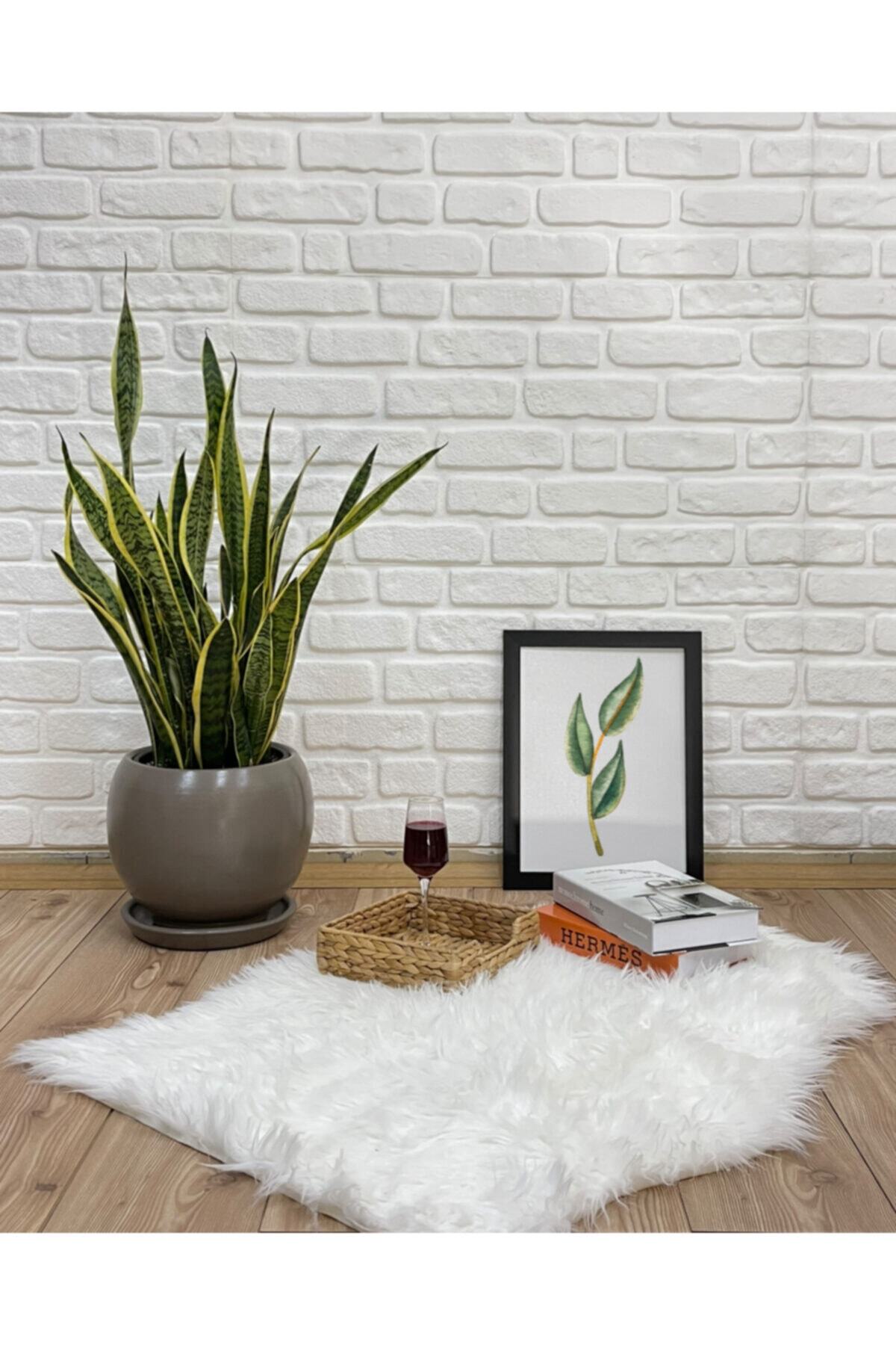 odka Küre Saksı Tabaklı 27cm Vizon Renk