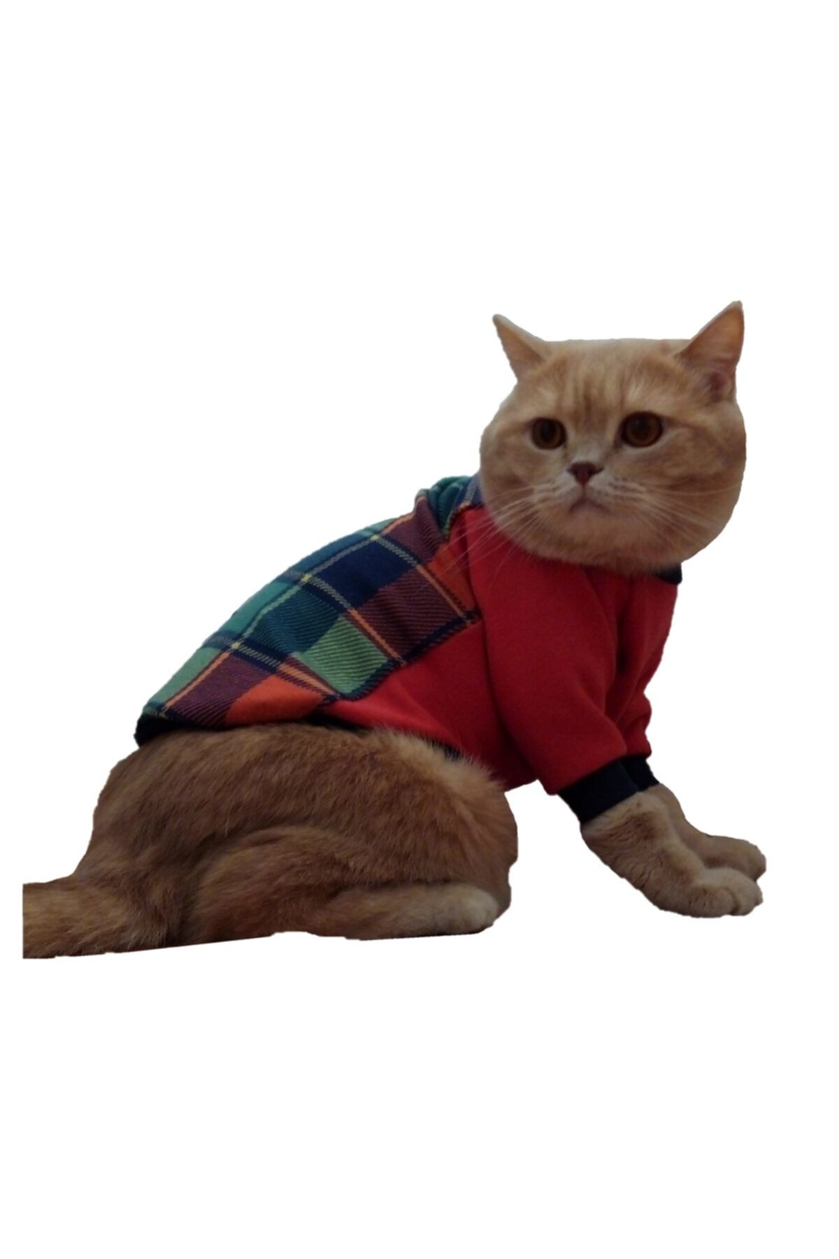 stylie Kalın Penye Kışlık Kedi Giysisi, Turuncu Ekoseli, M Beden, 3-4 Kg