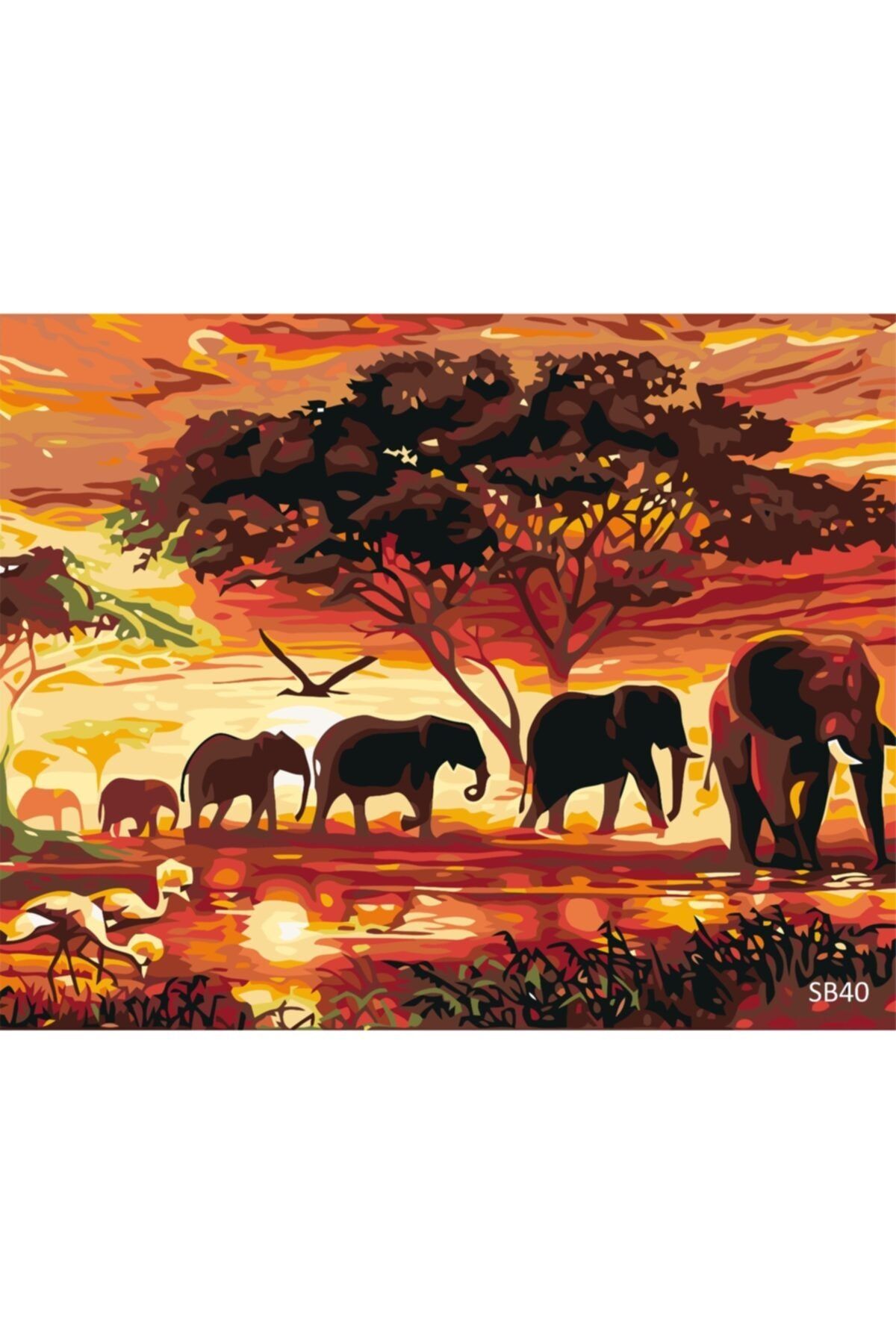 Alp Sayılarla Boyama Seti Çerçeveli Tuval 40x50 Cm, Fil Ailesi