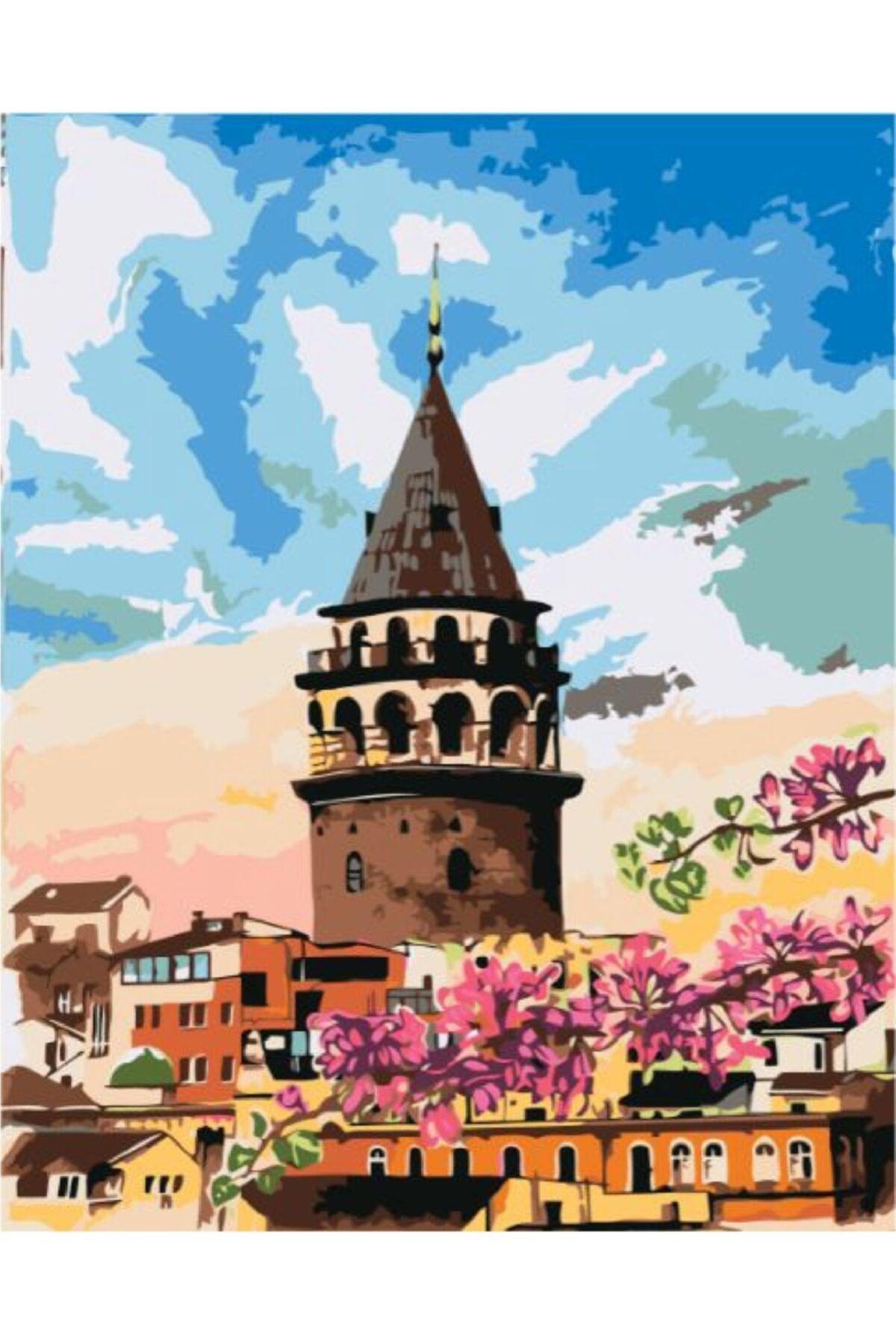 Alp Sayılarla Boyama Seti Çerçeveli Tuval 40x50 cm
