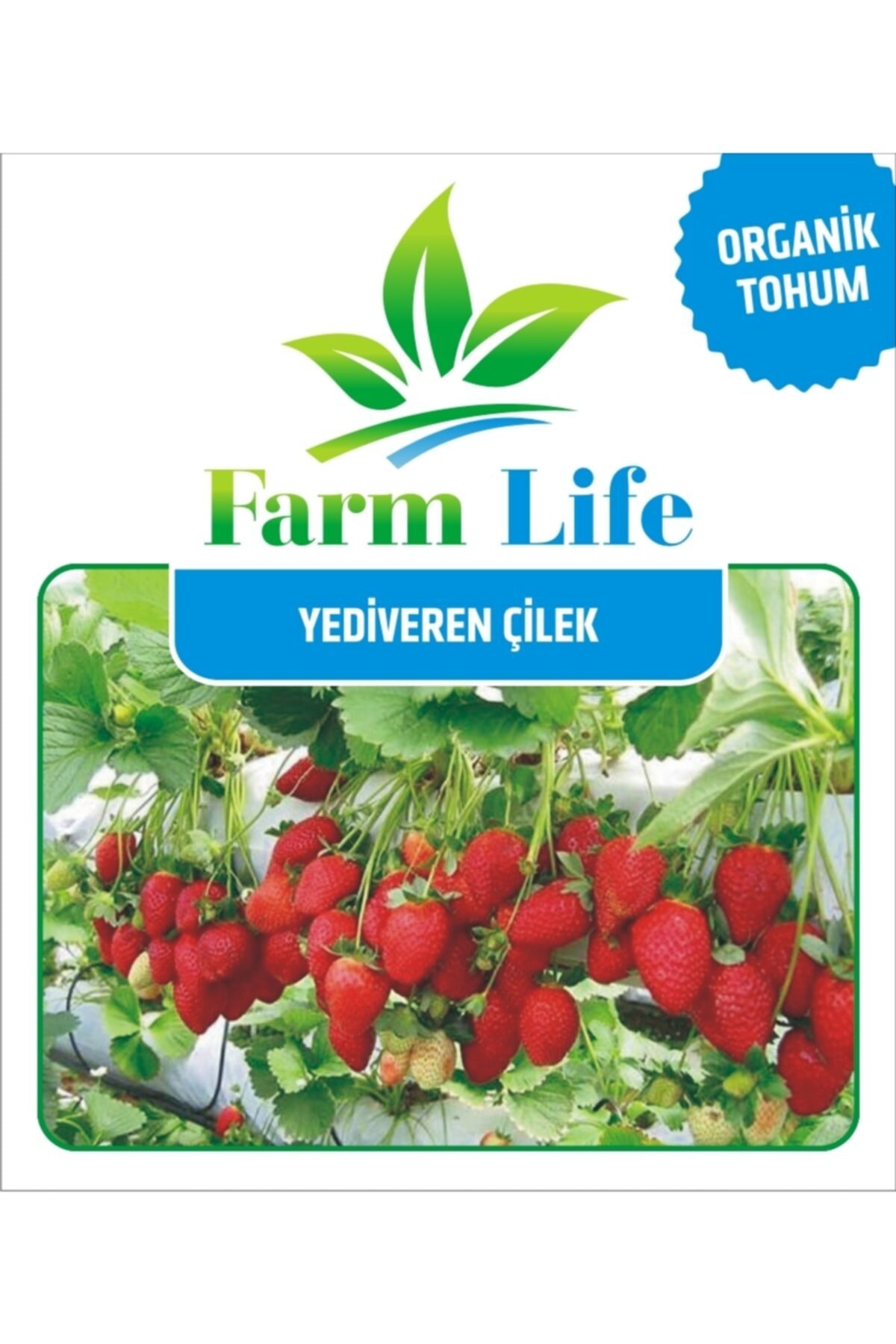 Farmer Life 100 Adet Yediveren Sarmaşık Çilek Tohumu