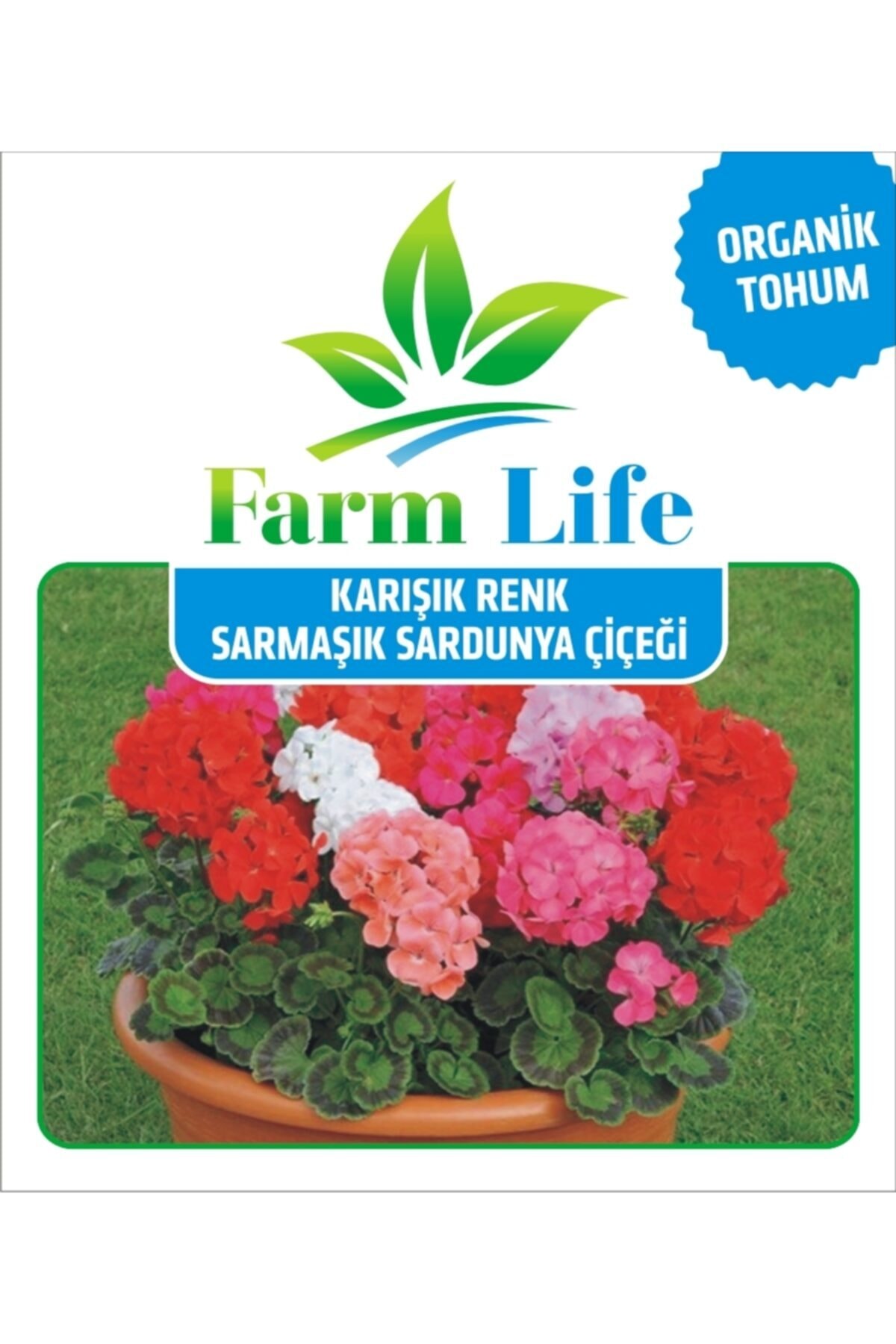 Farmer Life 8 Adet 8 Renk Sarmaşık Sardunya Tohumu