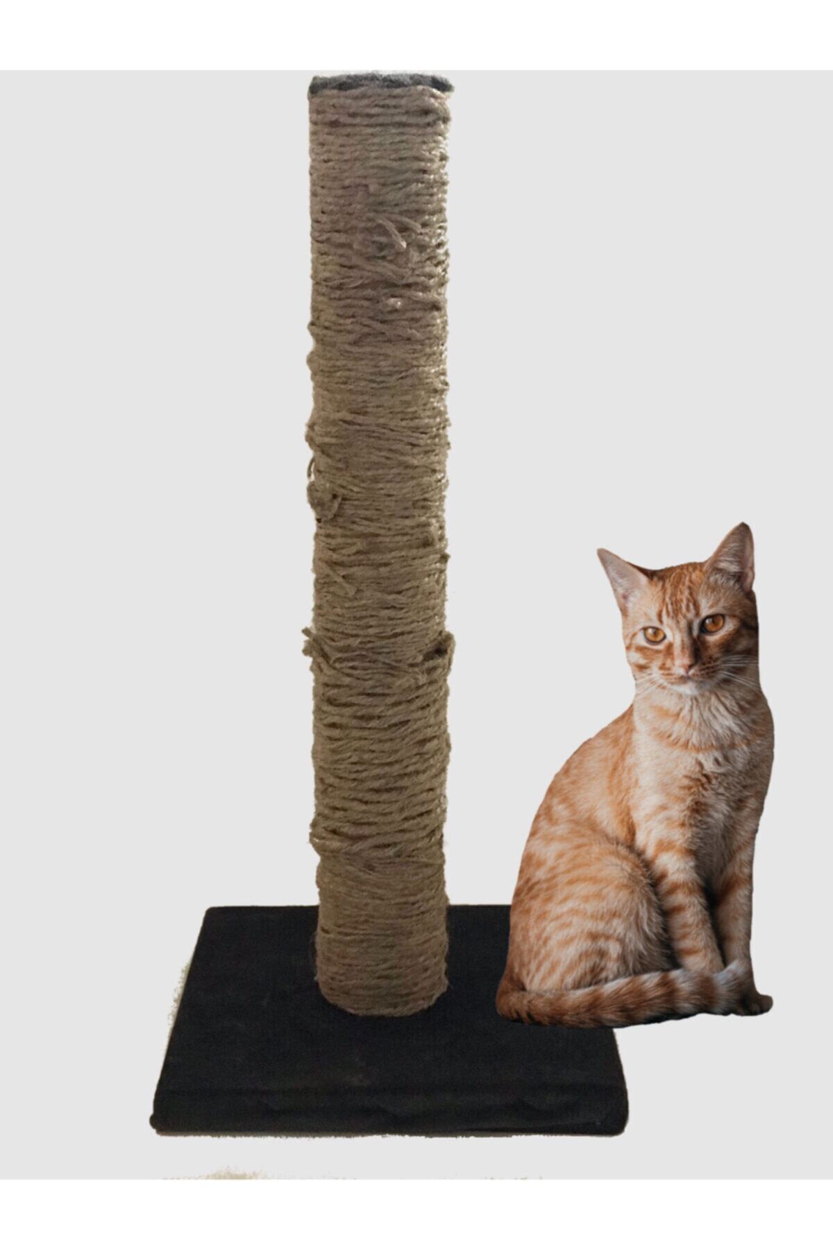 Kamberoğlu Mobilya Kedi Tırmalama Tahtası 55 Cm Koyu Gri