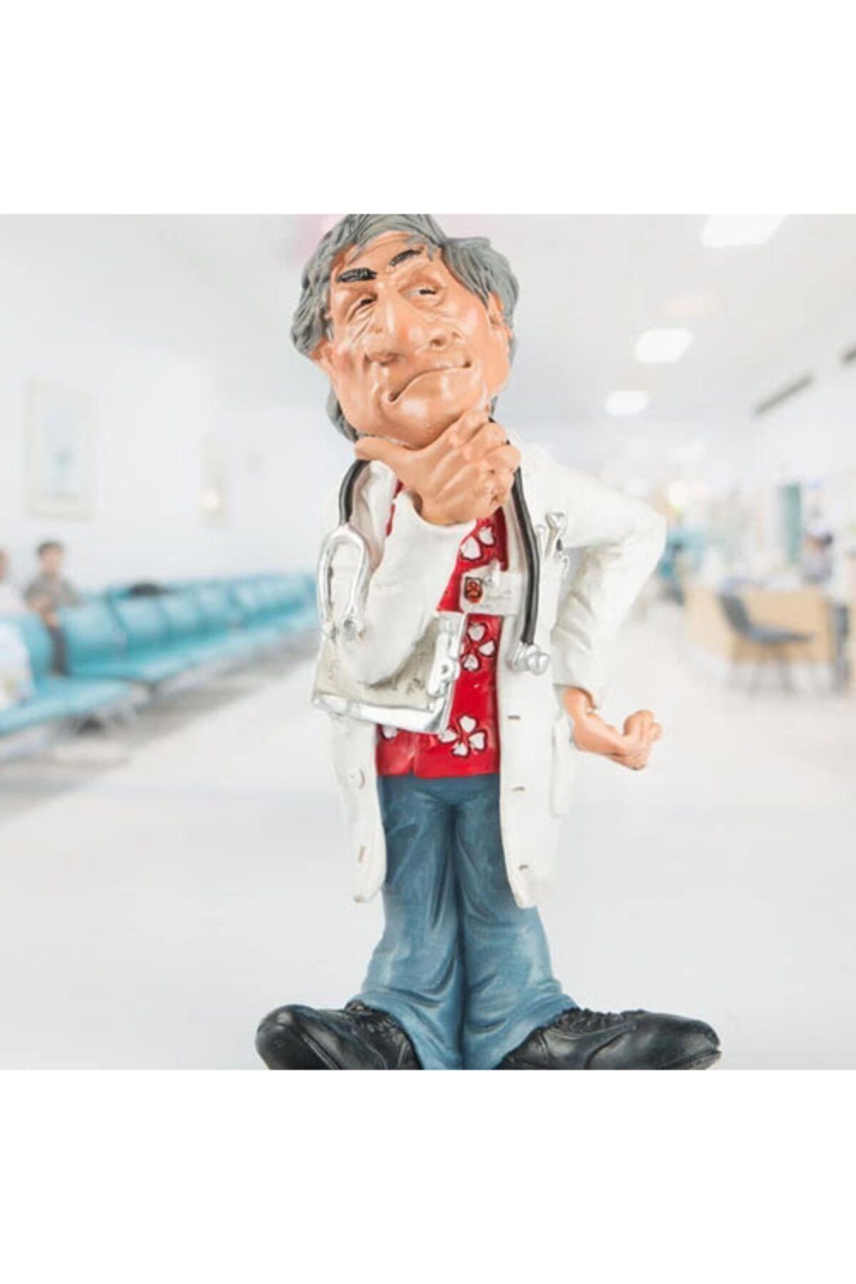 ASVASHOP Meslek Doktor Biblo Dekoratif Hediyelik