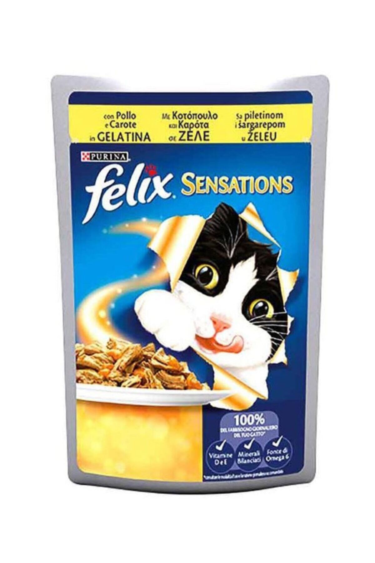 FELIX Tavuklu Havuçlu 100 Gr. X 20 Adet