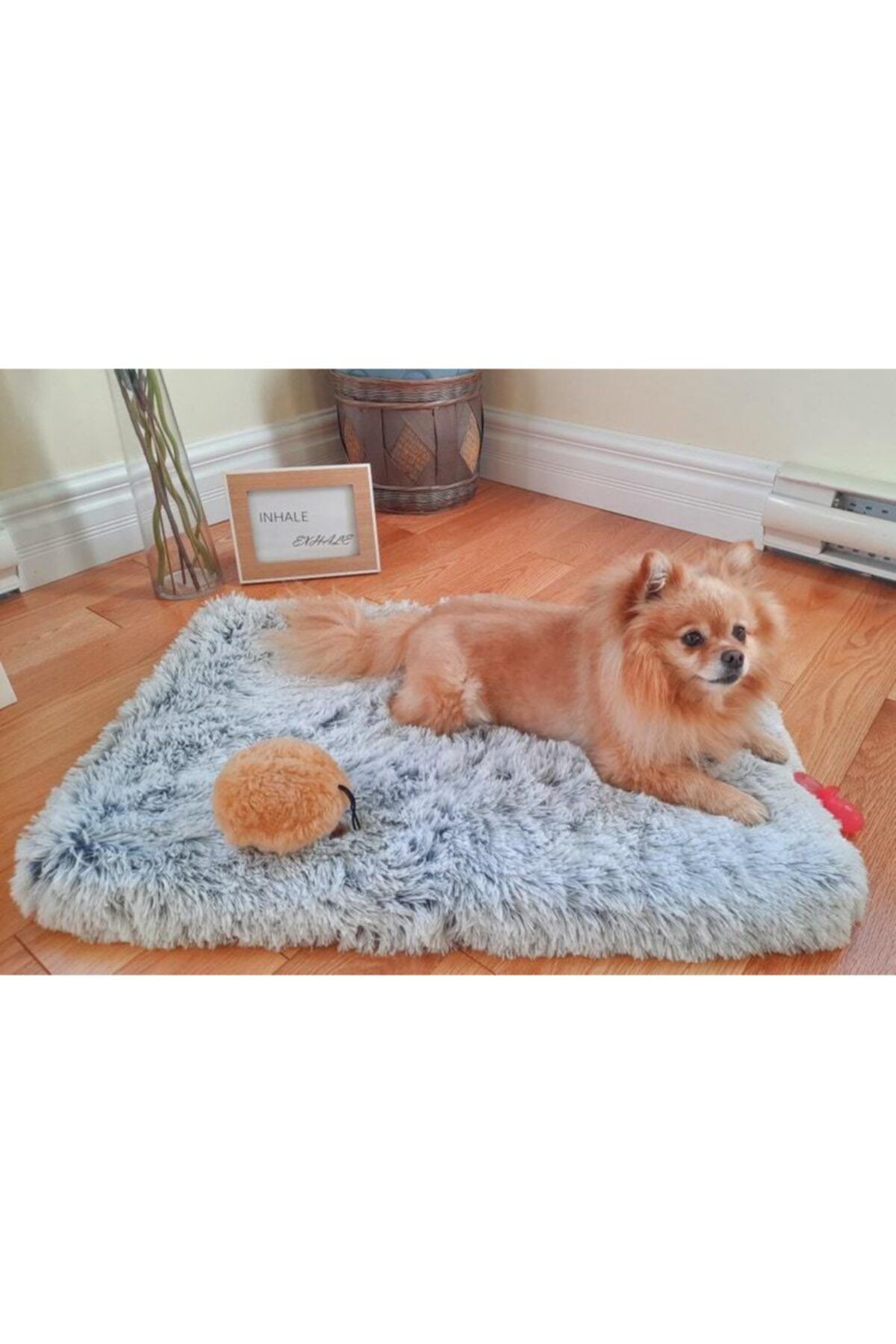 PATİMİO Comfort Kedi Ve Köpek Yatağı