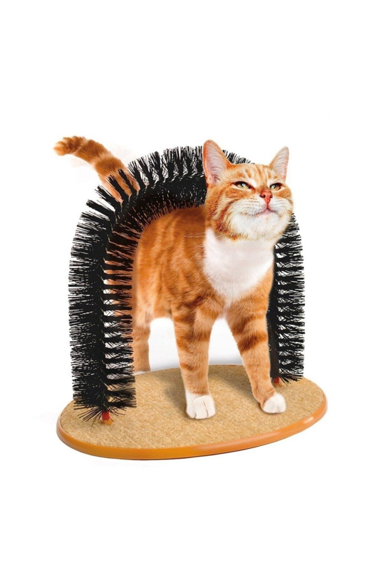 Mbois Pratik Kedi Tırmalama Ve Kaşıma Tahtası Tırnak Törpüleme Oyuncağı