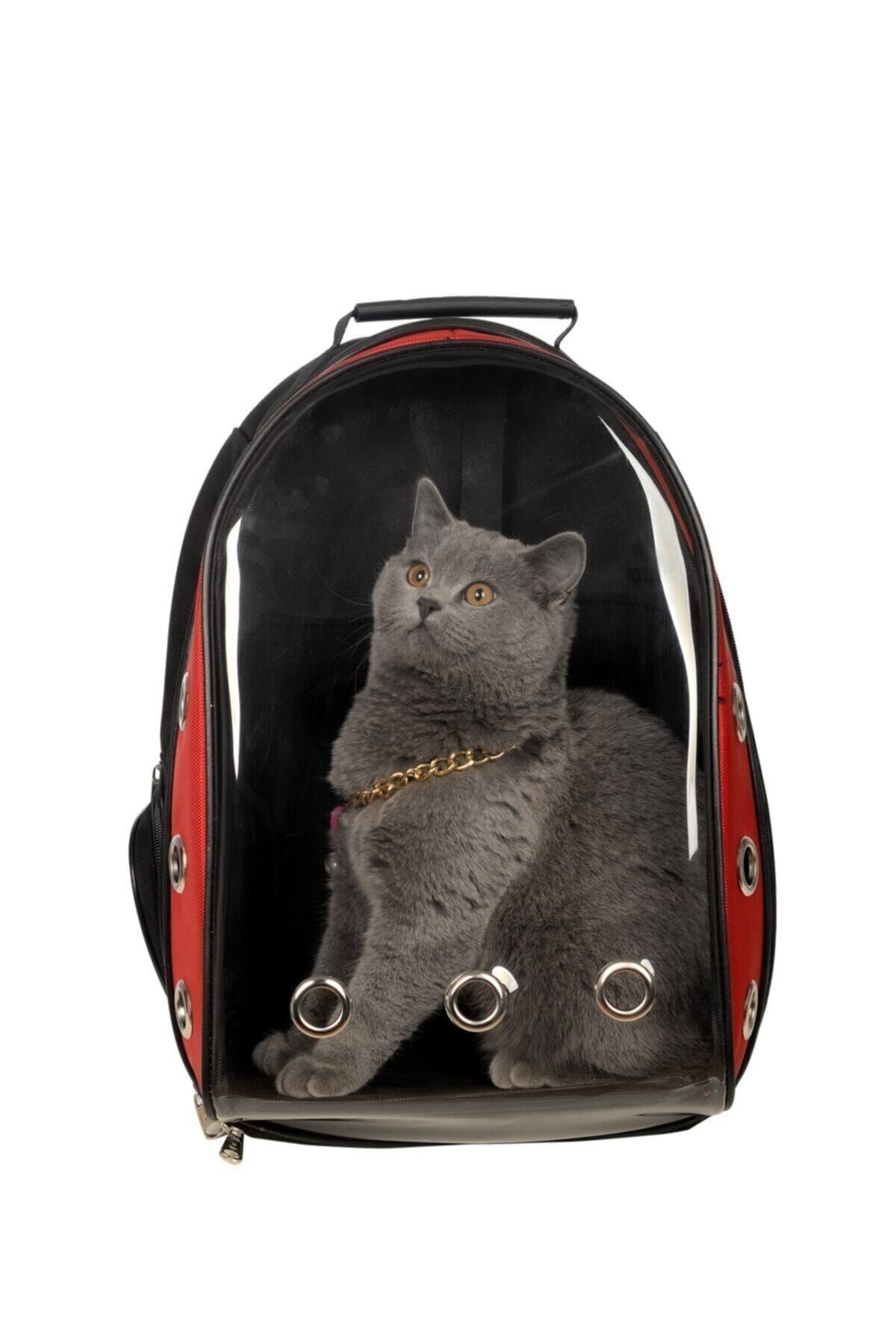 Stok CITY Şeffaf Astronot Kırılmaz Kedi Köpek Taşıma Çantası 42 X 22 X 33 Cm Kırmızı