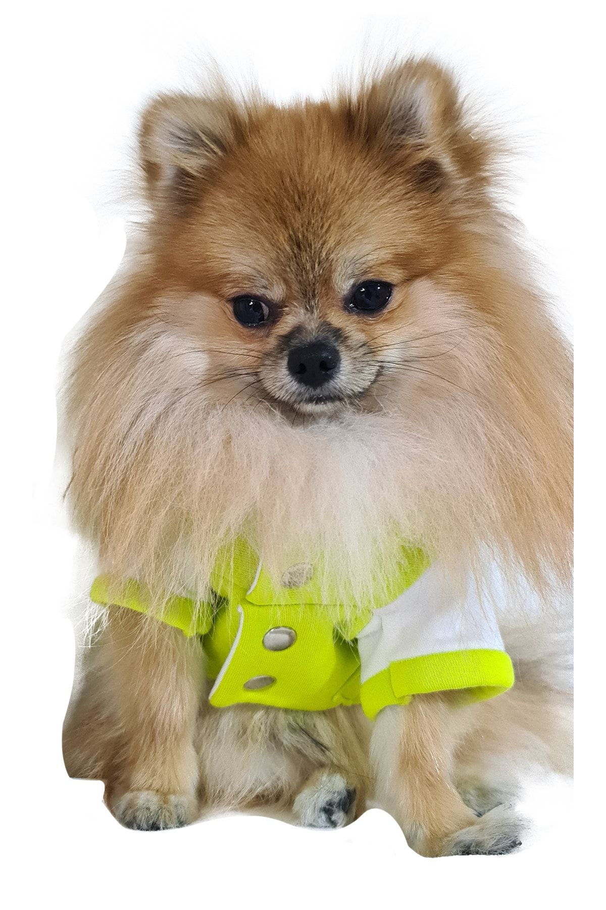 PATİTO Köpek Kıyafeti