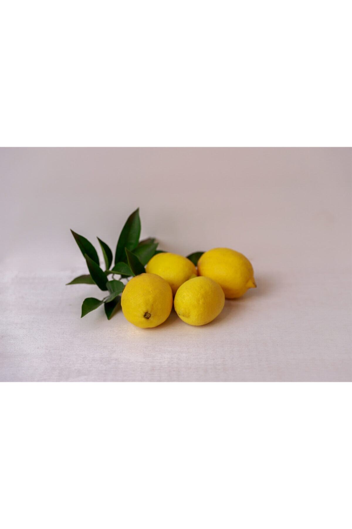 KÖYCEĞİZSEL Enterdonat Limon 5kg