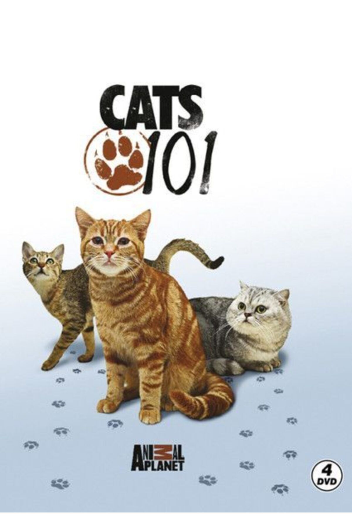 kitabevimden Cats 101 - Kediler