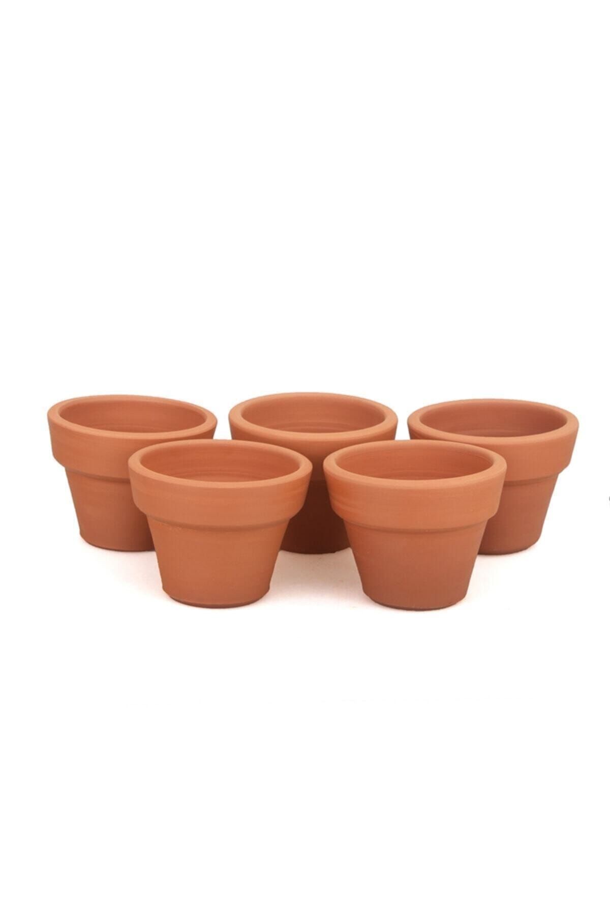 RoberTasarım 5'li Toprak Kaktüs Ve Sukulent Saksısı 8x8 cm Terracotta