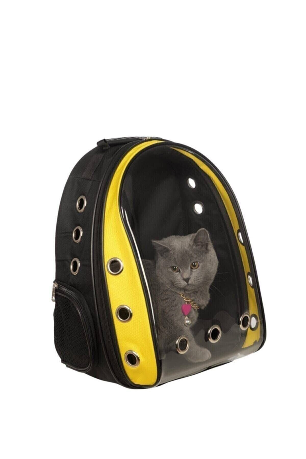 Stok CITY Şeffaf Astronot Kırılmaz Kedi Köpek Taşıma Çantası 42 X 22 X 33 Cm