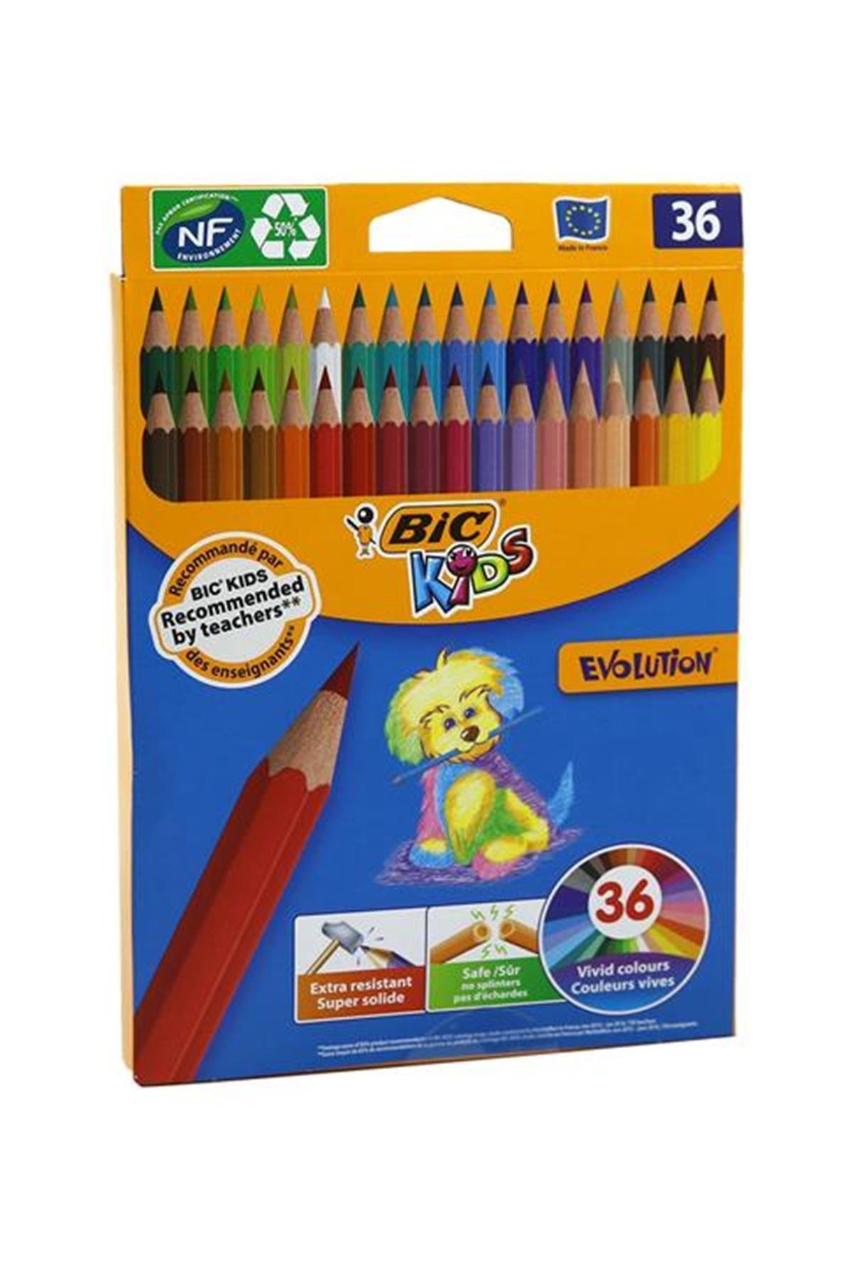 Bic Evolution Kuru Boya Kalemi 36'lı