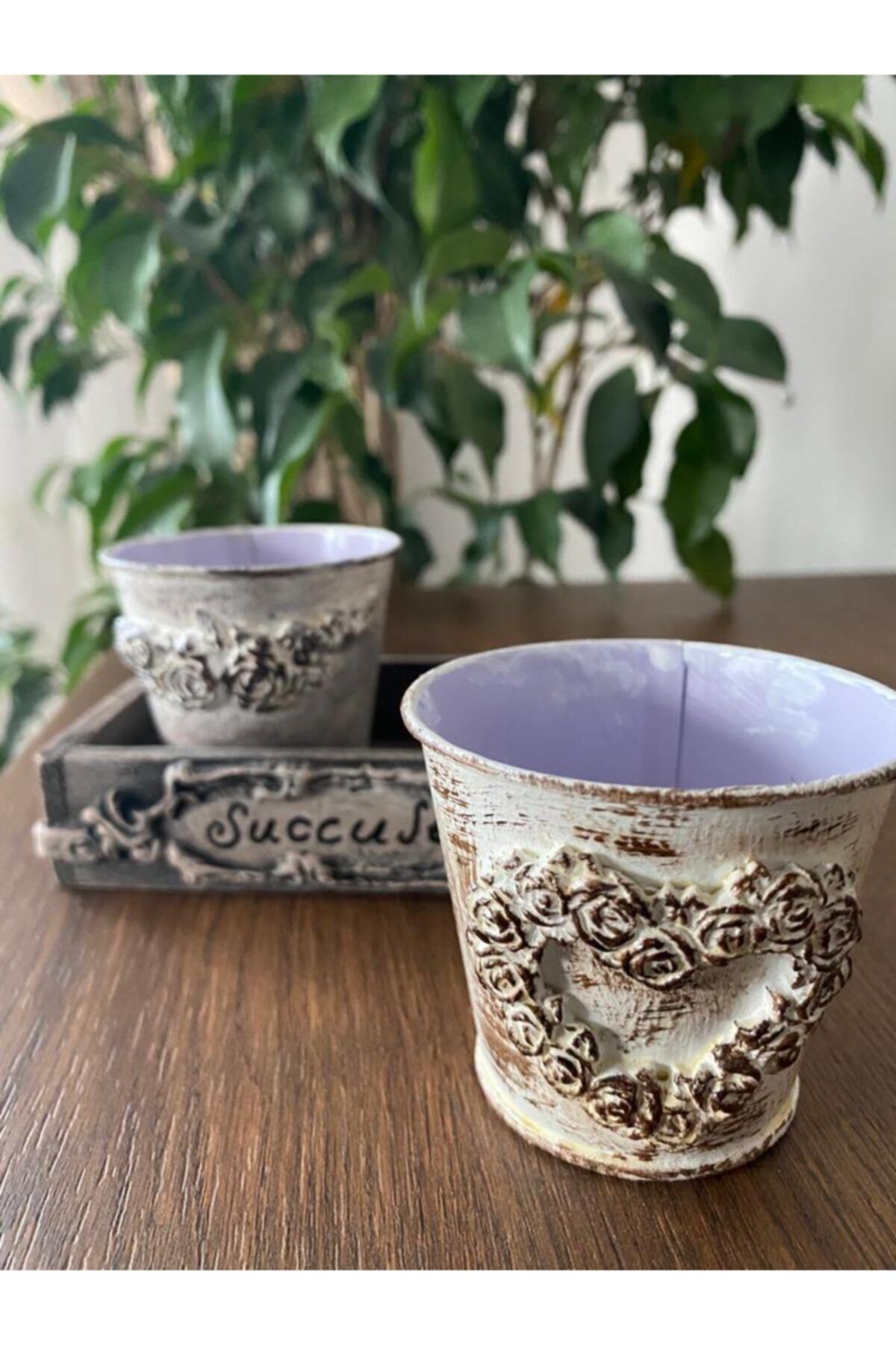 Tofy Artdesign Kasalı Sukulent Saksı Seti (motifli-6), El Yapımı Saksı, Sukulent Saksısı
