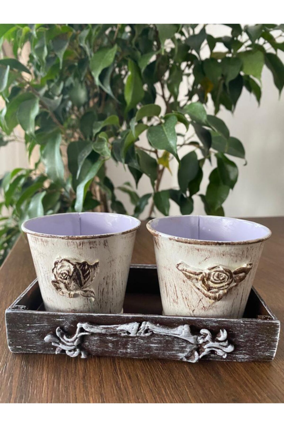 Tofy Artdesign Kasalı Sukulent Saksı Seti (motifli-5), El Yapımı Saksı, Sukulent Saksısı
