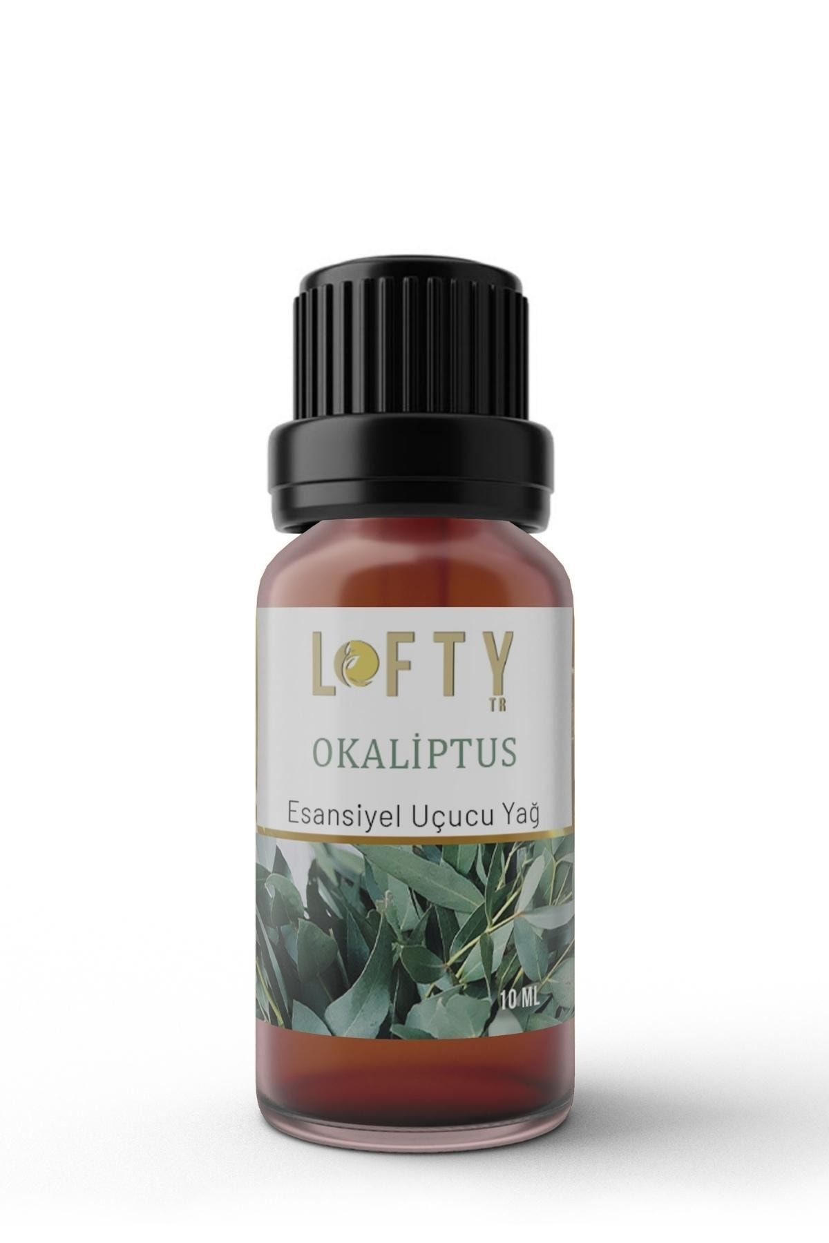Lofty Okaliptus Doğal Uçucu Yağ Saf Buhurdanlık Esansı Konsantre Oda Kokusu Uçucu Esans Buhur Yağı 10ml