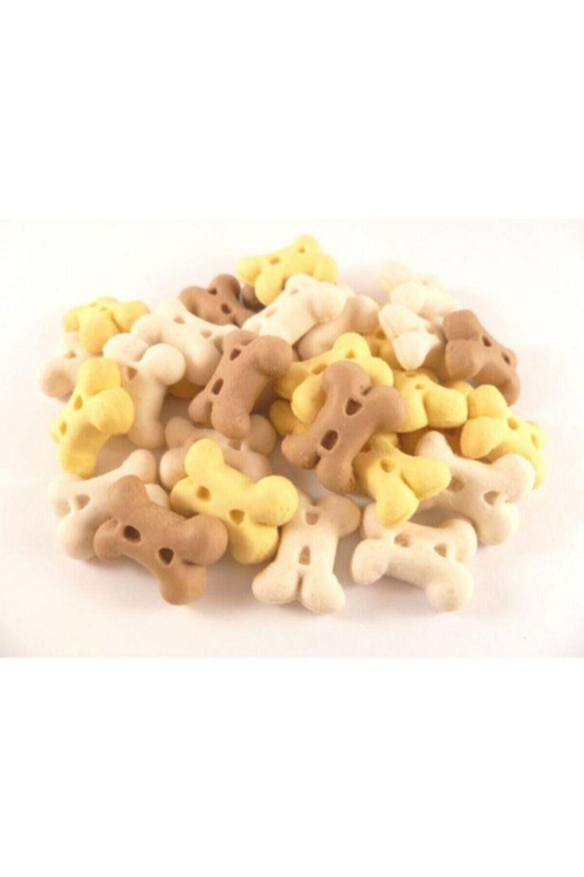 Angelapets Reflex Vanilyalı Kemik Şekilli Yavru Köpek Ödülü 100gr