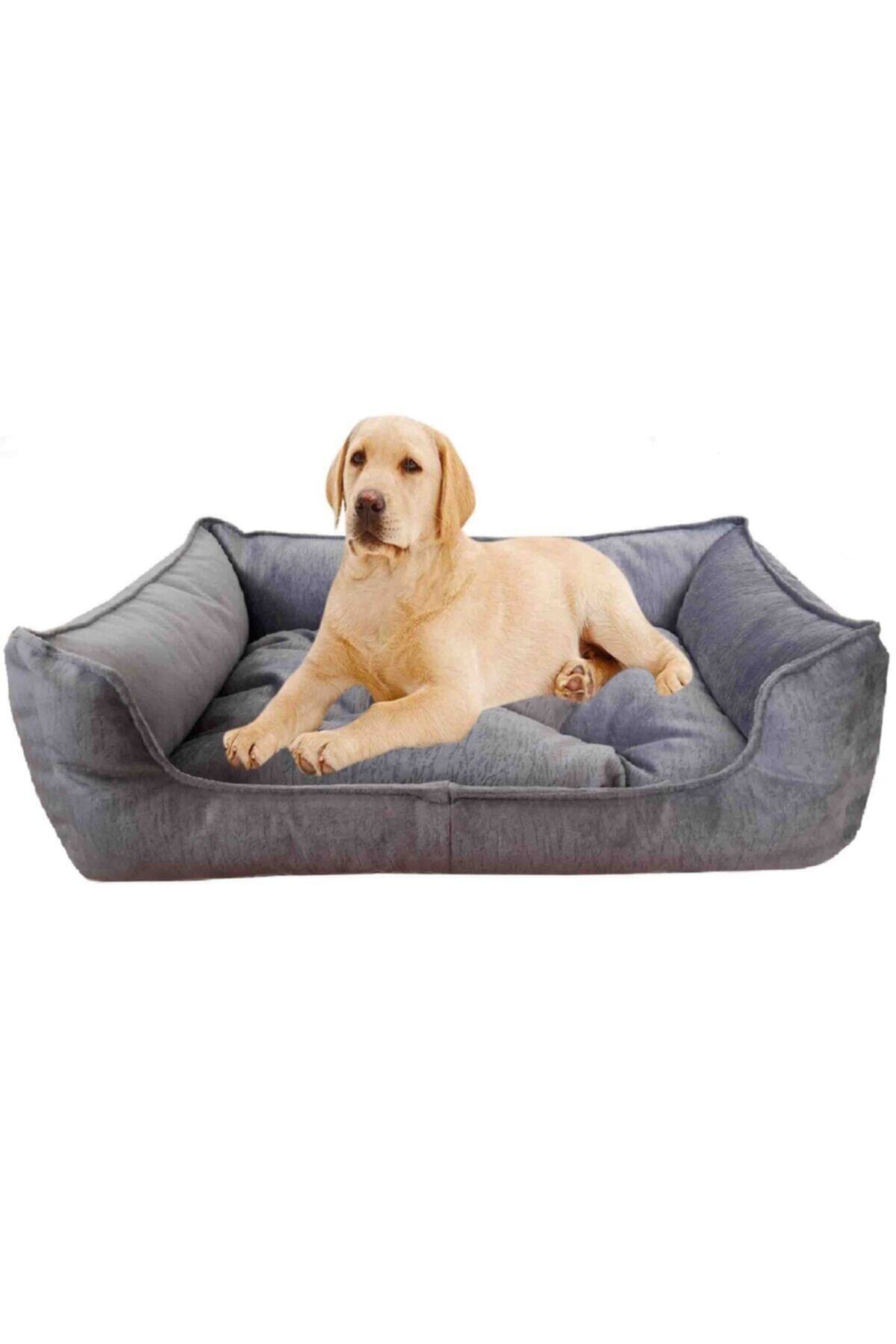 Catyat Büyük Irk Yıkanabilir Iç Mekan Köpek Yatağı 70 Cm X 90 Cm
