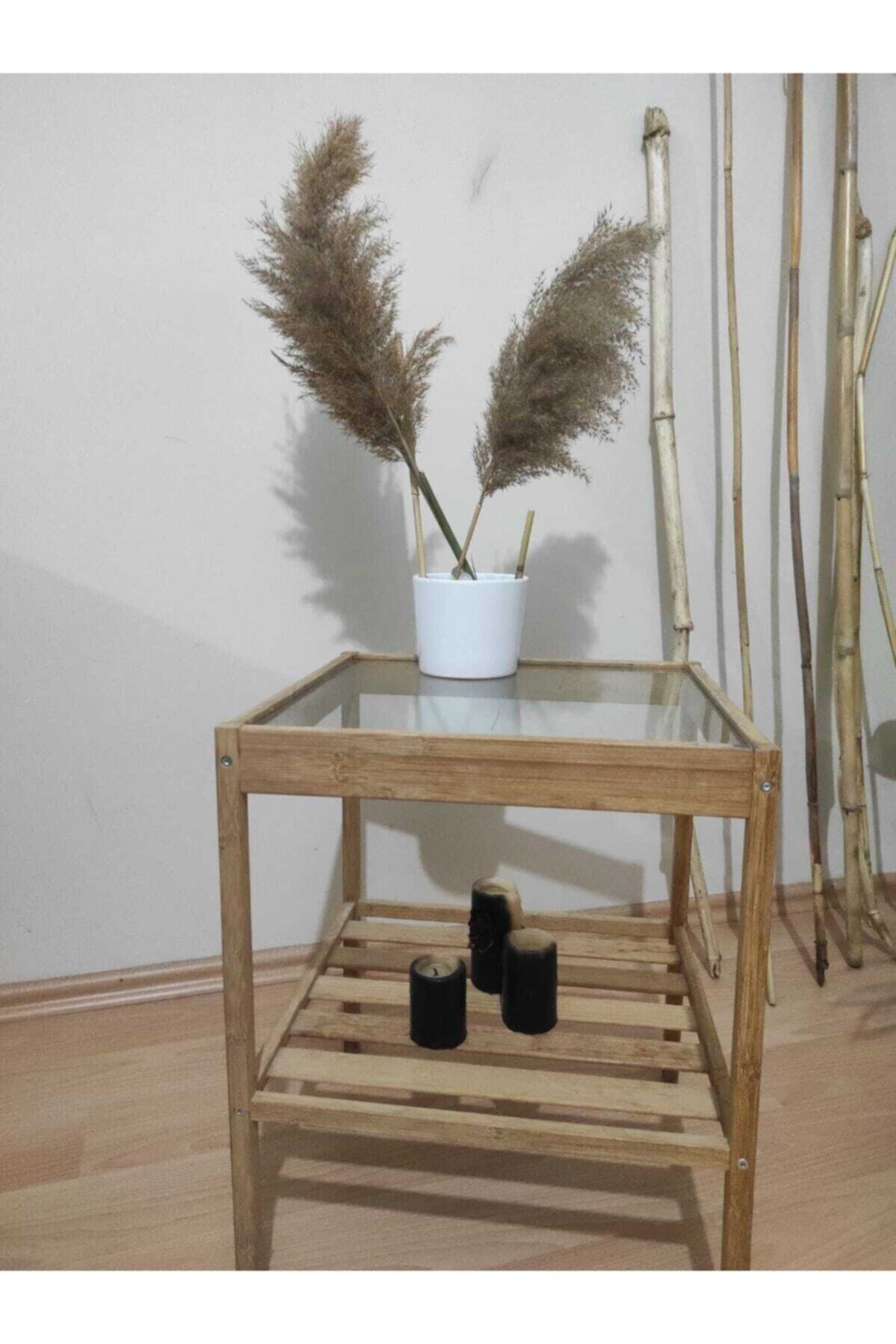 HELEN DECOR Ev Dekorasyon Vazo Içi 2 Li Doğal Pampas