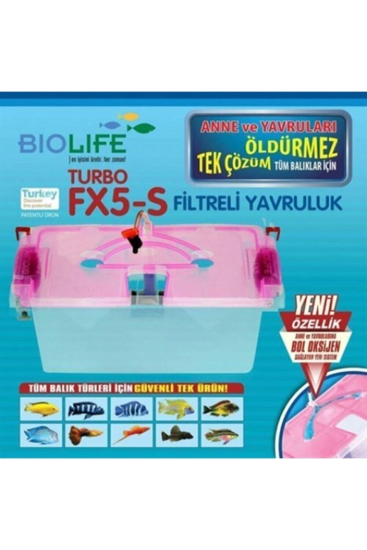 Biolife Bıolıfe Fx5 S Akvaryum Yavruluk 8 Vantuz Aparatlı