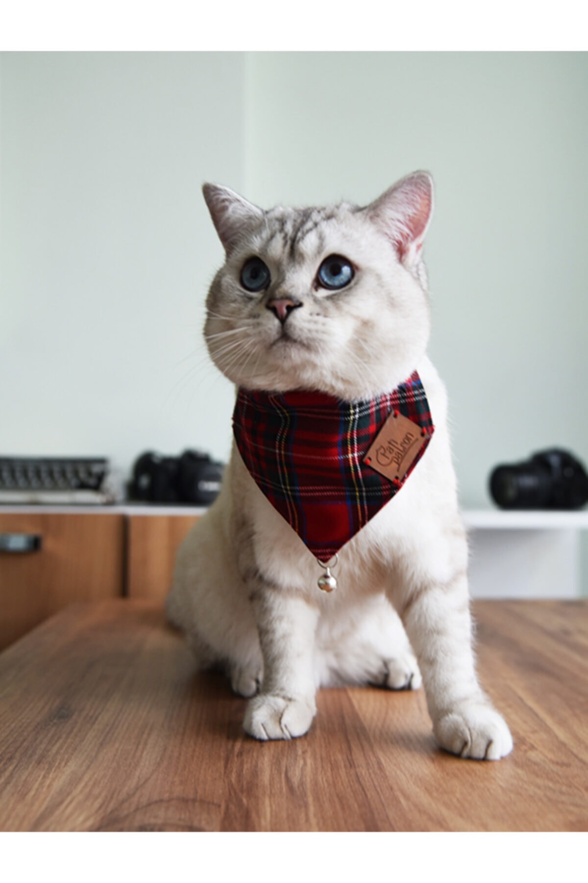 Patipatron Fularlı Kedi Boyun Tasması Kırımızı Çınçınlı