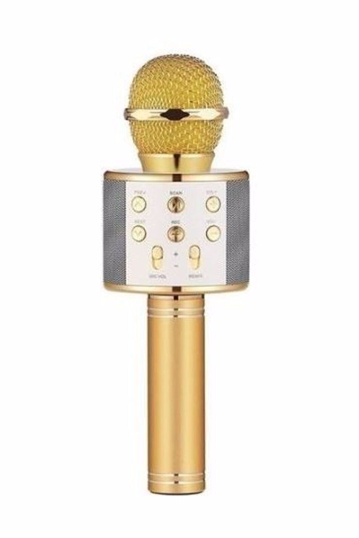 kayaksesuar Karaoke Mikrofon Bluetooth Hoparlör Aux Usb Mikro Sd Kart Girişli