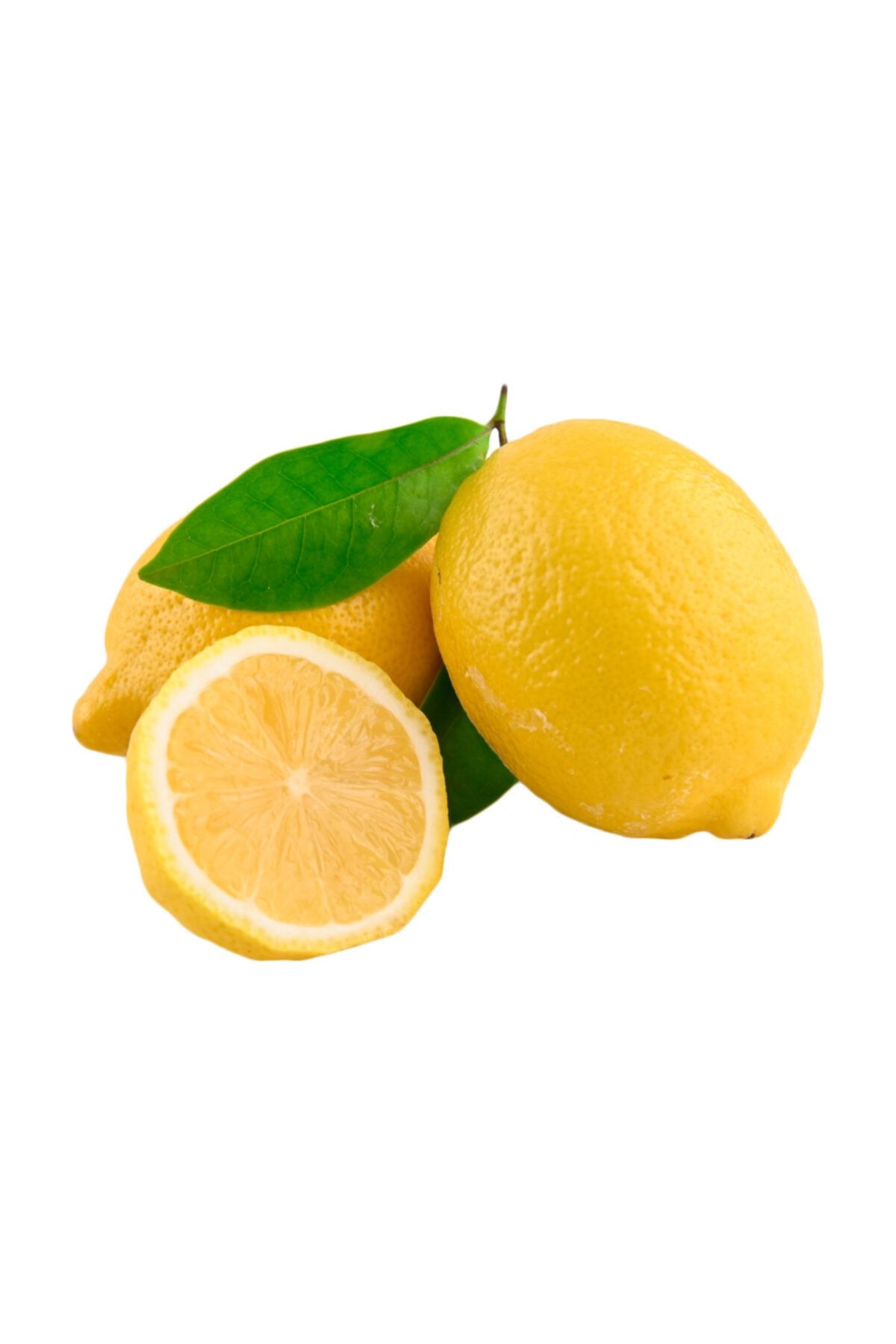 Speentech Taze Lamas Limon kg