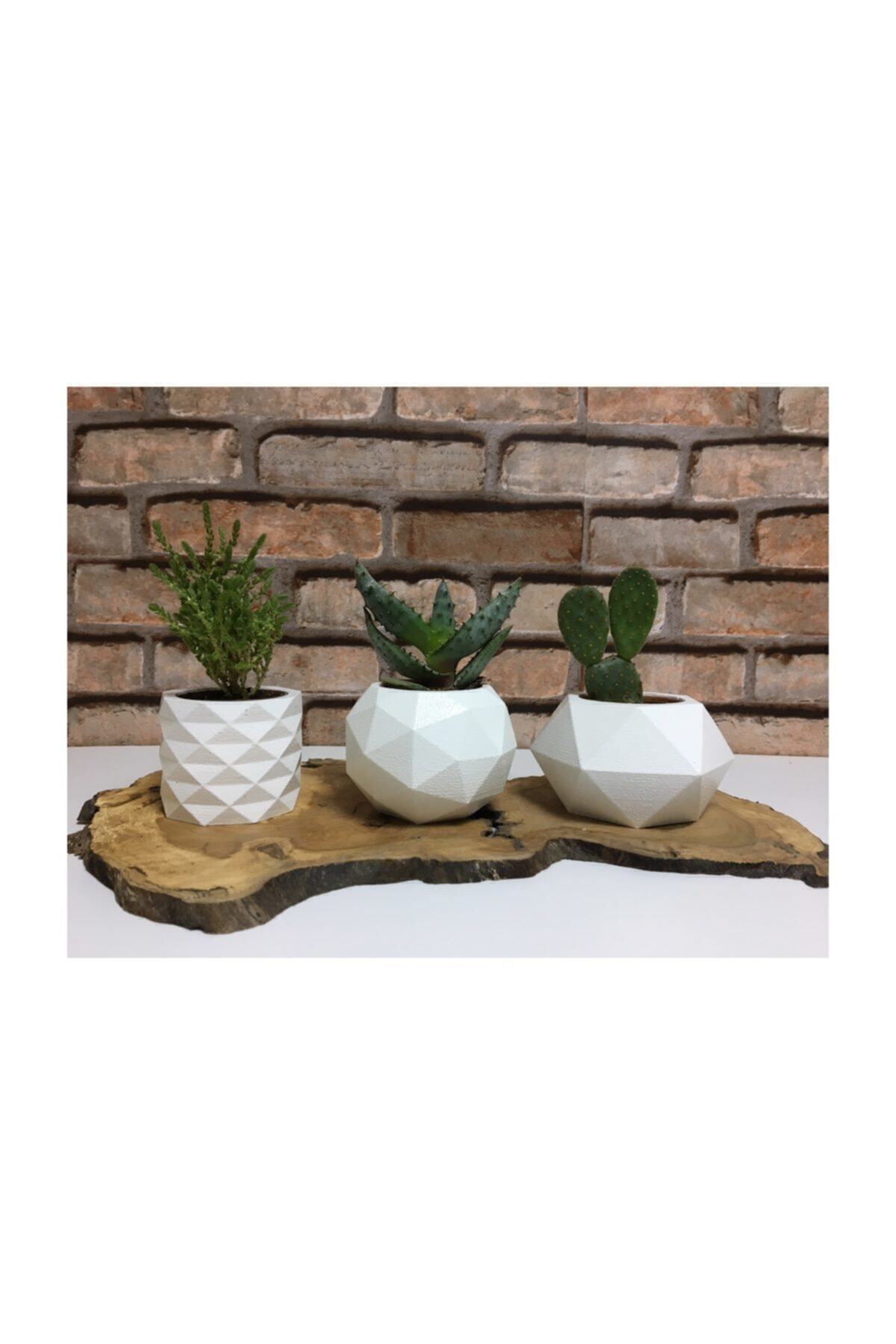 decolight 3'lü Beyaz Renk Beton Sukulent Ve Kaktüs Saksı Seti