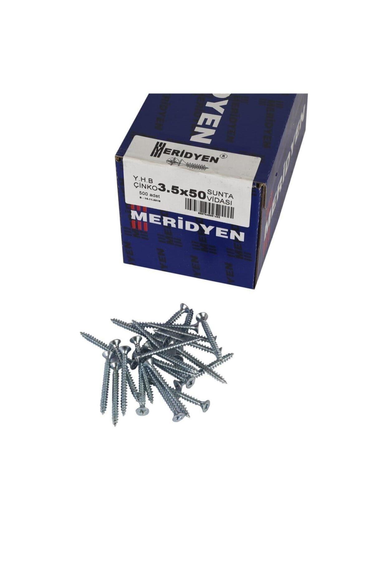 Meridyen Sunta Vidası 3.5x50 Mm 500 Ad