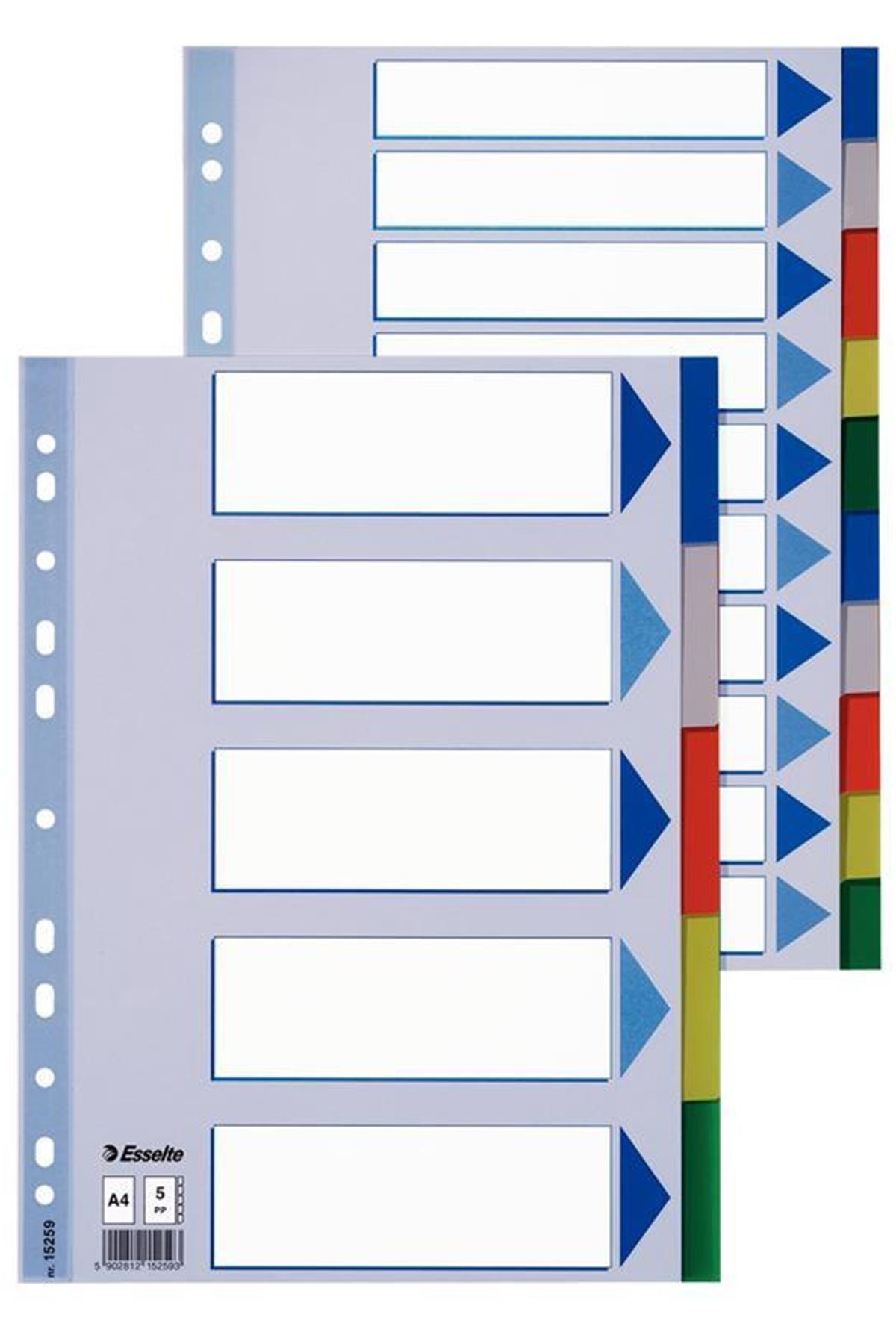 Esselte 5 Renk Ayraç 15259