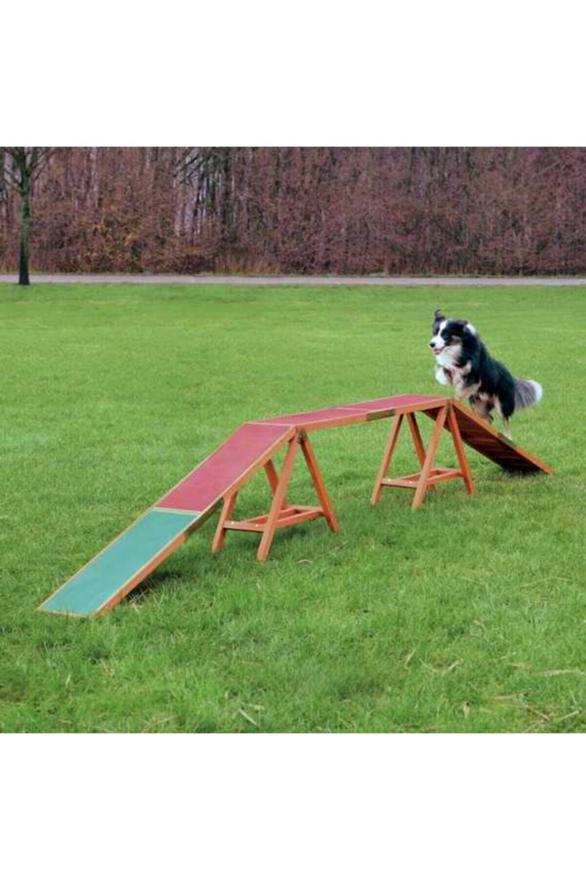 Cambridge Polo Club Trixie Köpek Agility Köprüsü 456x64x30cm