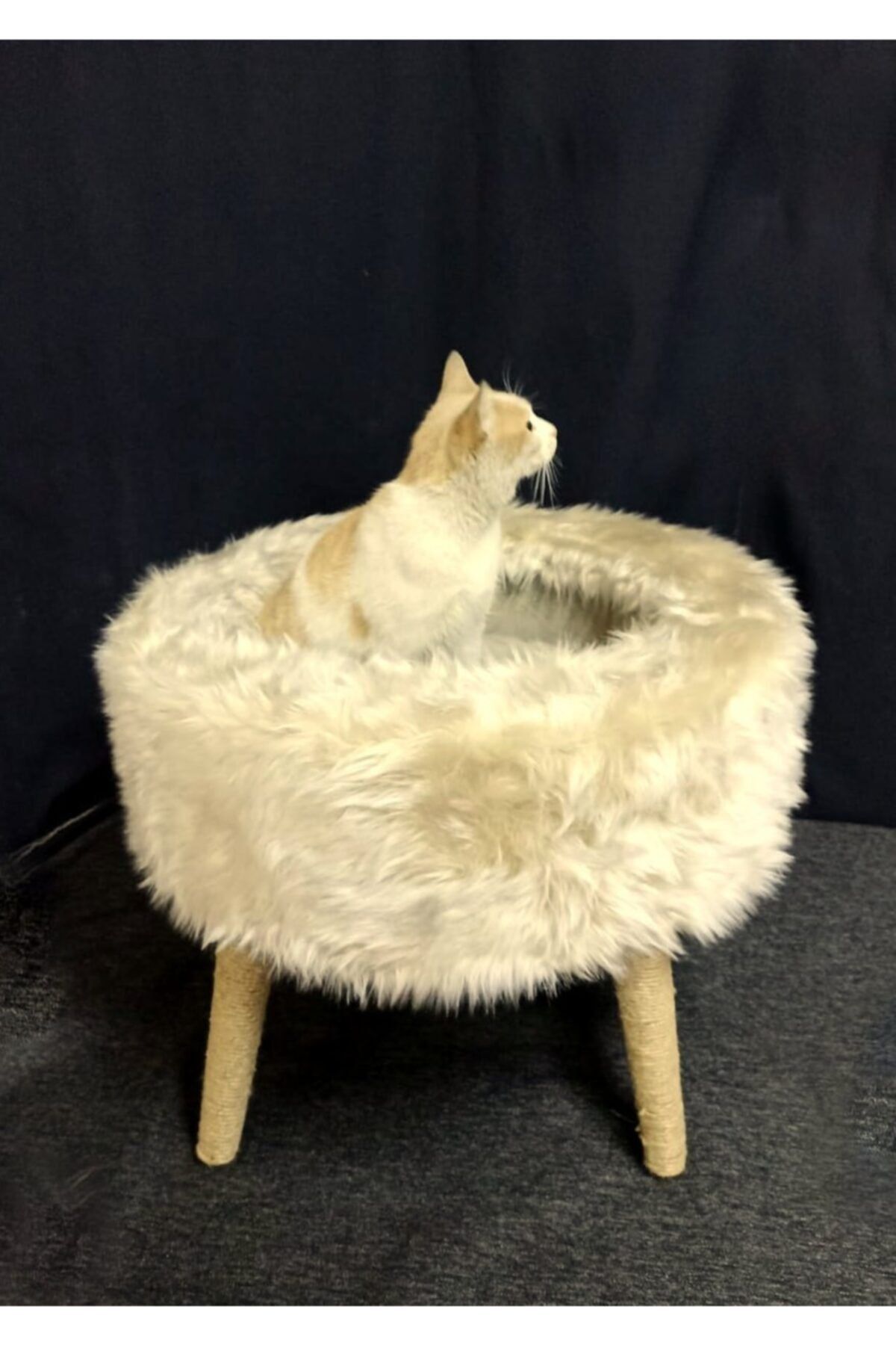 Kargolagelsin Sofaist Kedi Yatağı, Kedi Evi, Kedi Tırmalaması