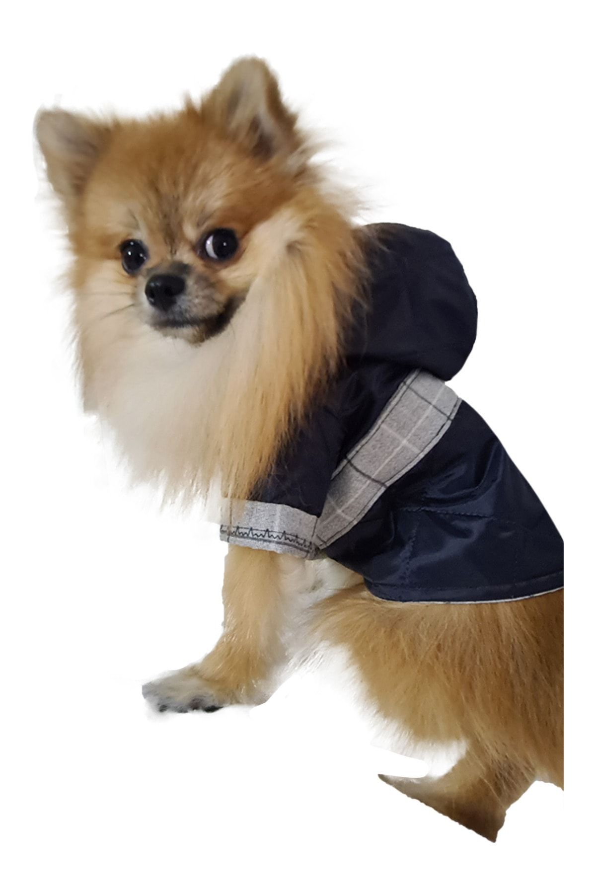 PATİTO Köpek Kıyafeti Şişme Mont