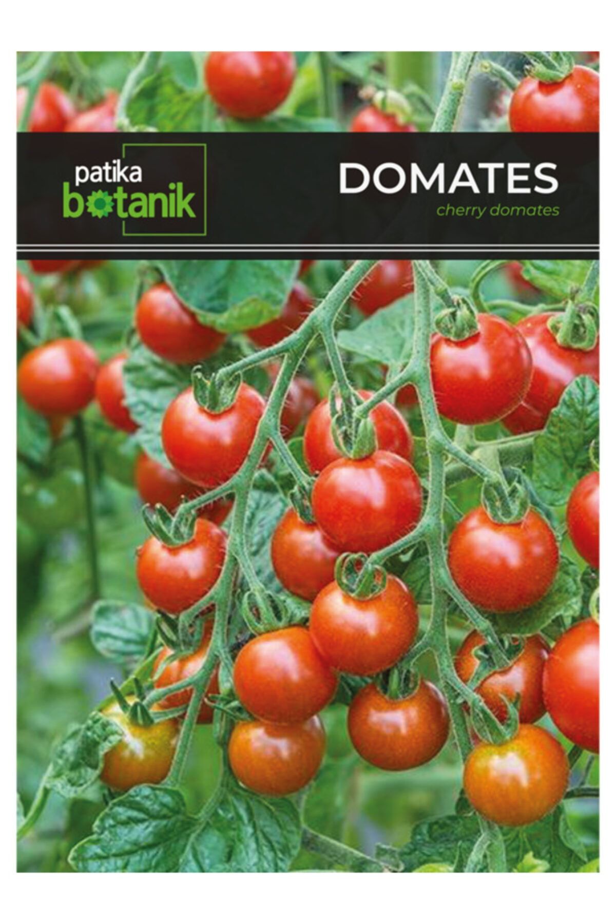 Ekodoğa Cherry Domates Tohumu 1 Paket ( 250 Adet Tohum ) Chery Domates Çeri Domates Salkım Domates Tohumu