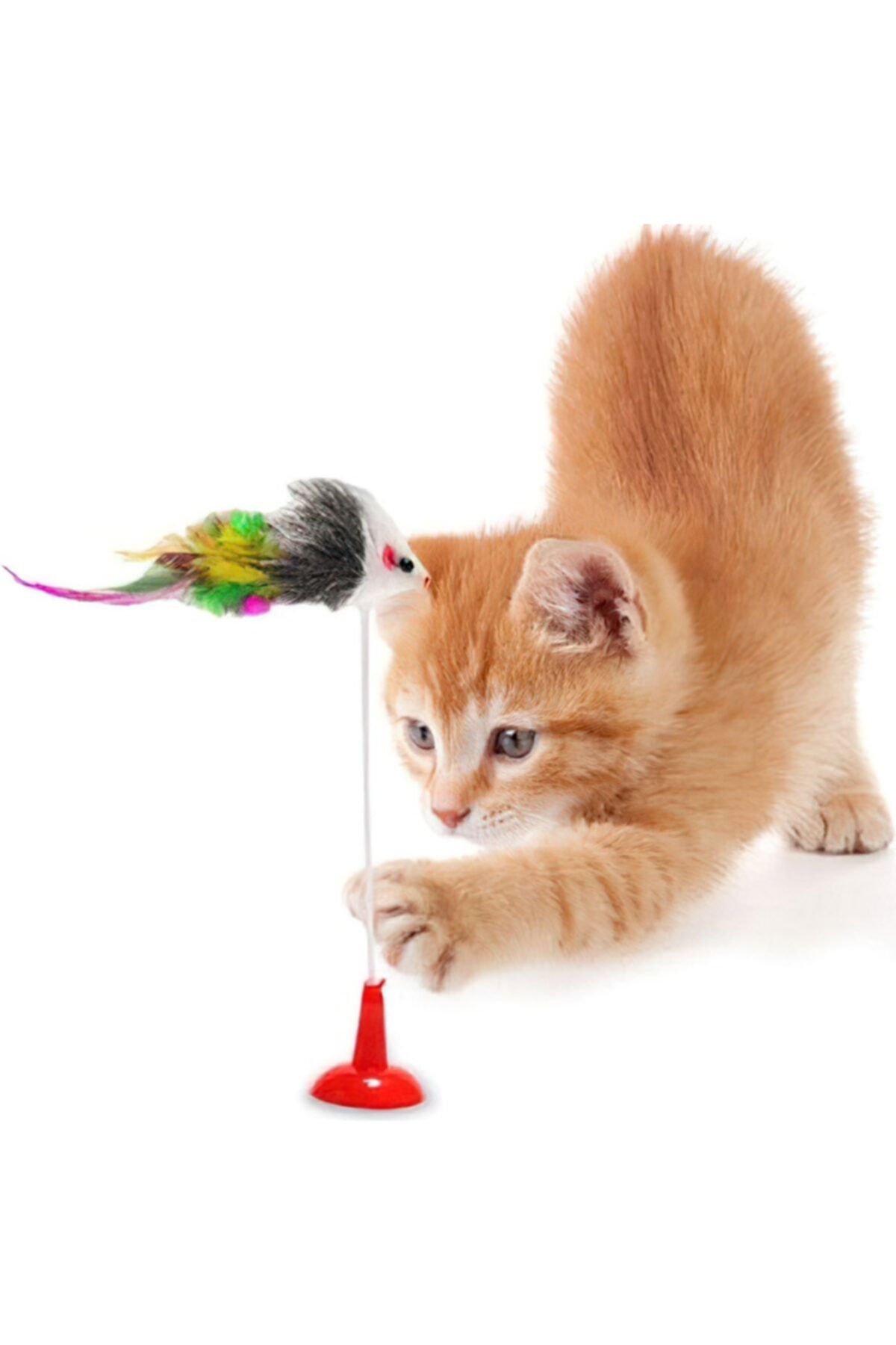 HESAPLIJET Vantuzlu Kedi Oyuncağı Fare Yakalama Oyuncağı