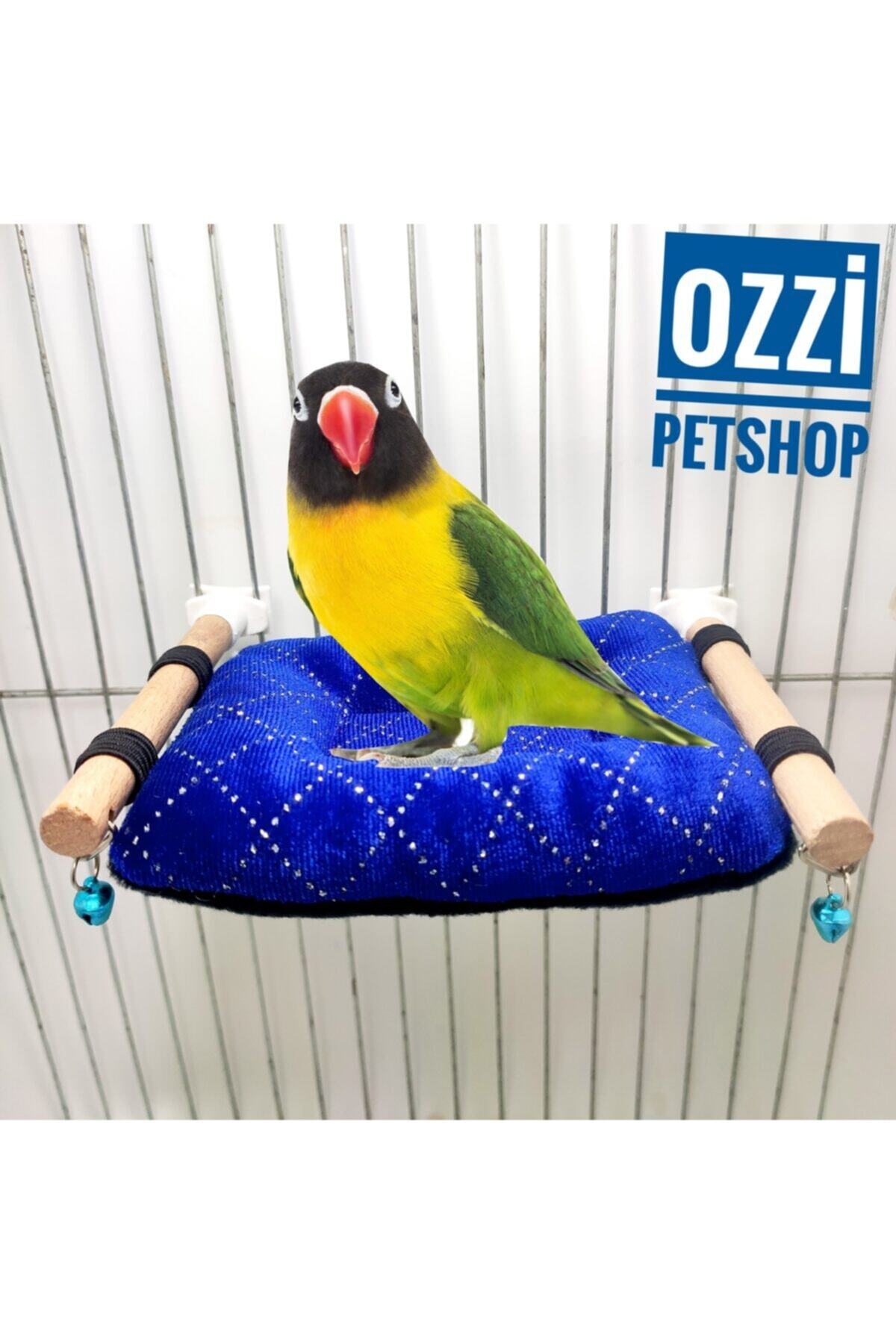 ozzipetshop Cennet Papağanı Oyuncaklı Salıncak , Eğlenceli Kuş Salıncağı Siyah Beyaz