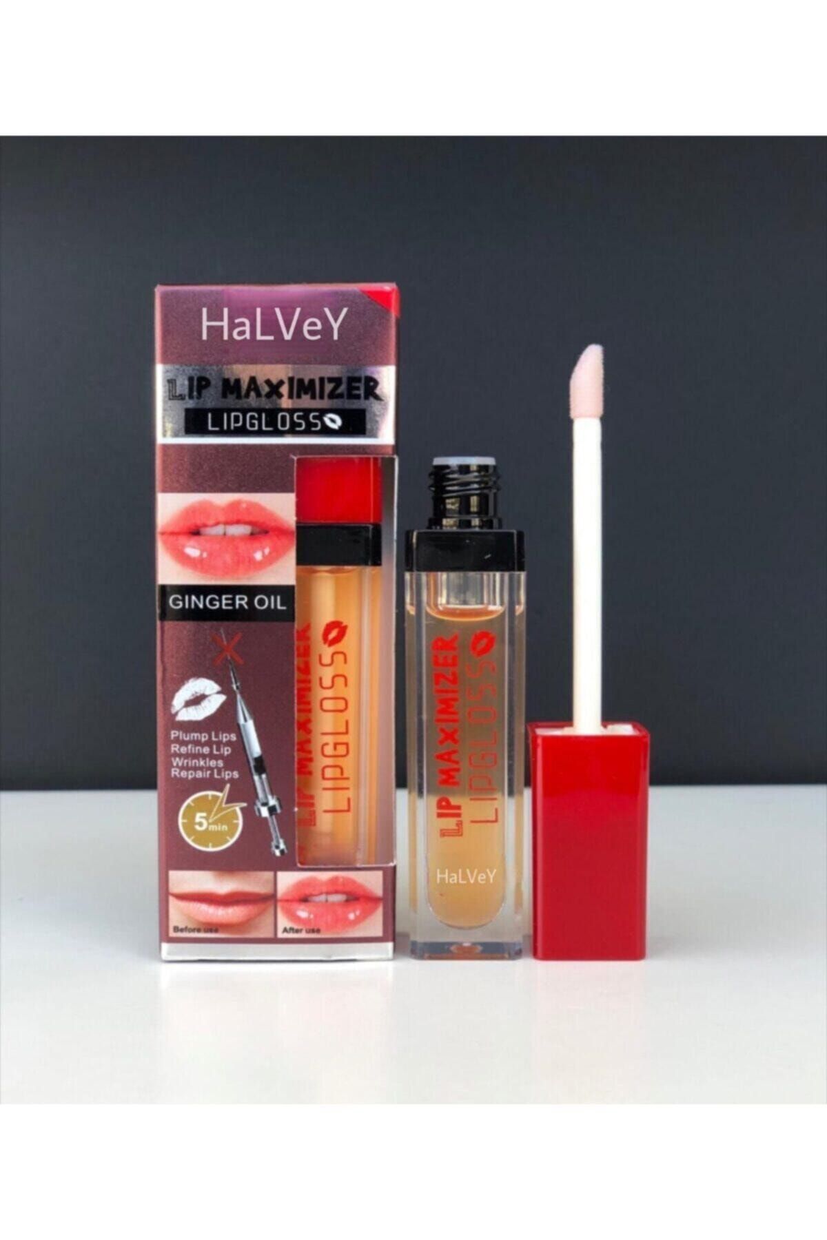 HaLVeY Rose Dudak Dolgunlaştırıcı & Dudak Parlatıcı