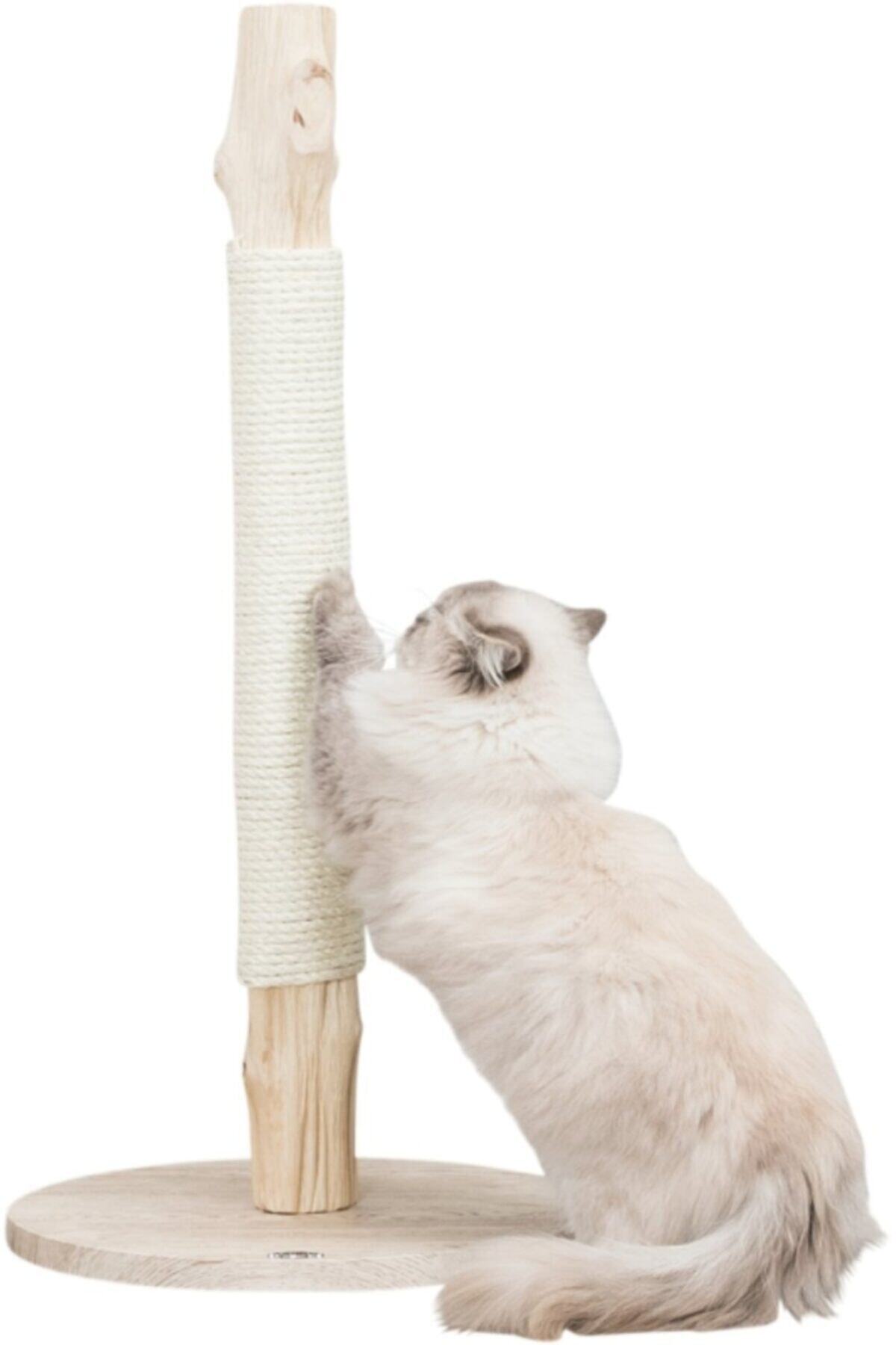 Cambridge Polo Club Trixie Kedi Tırmalama , Xxl, 97cm, Bej
