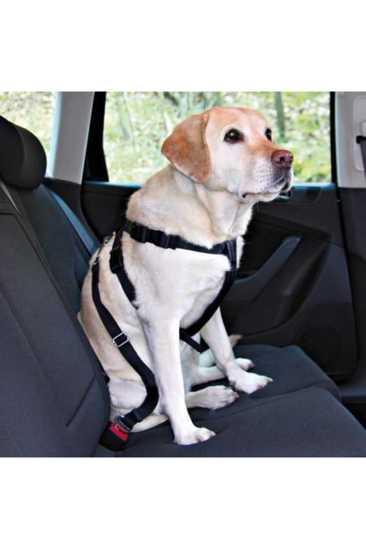 Cambridge Polo Club Trixie Köpek Emniyet Kemeri M 50-70cm