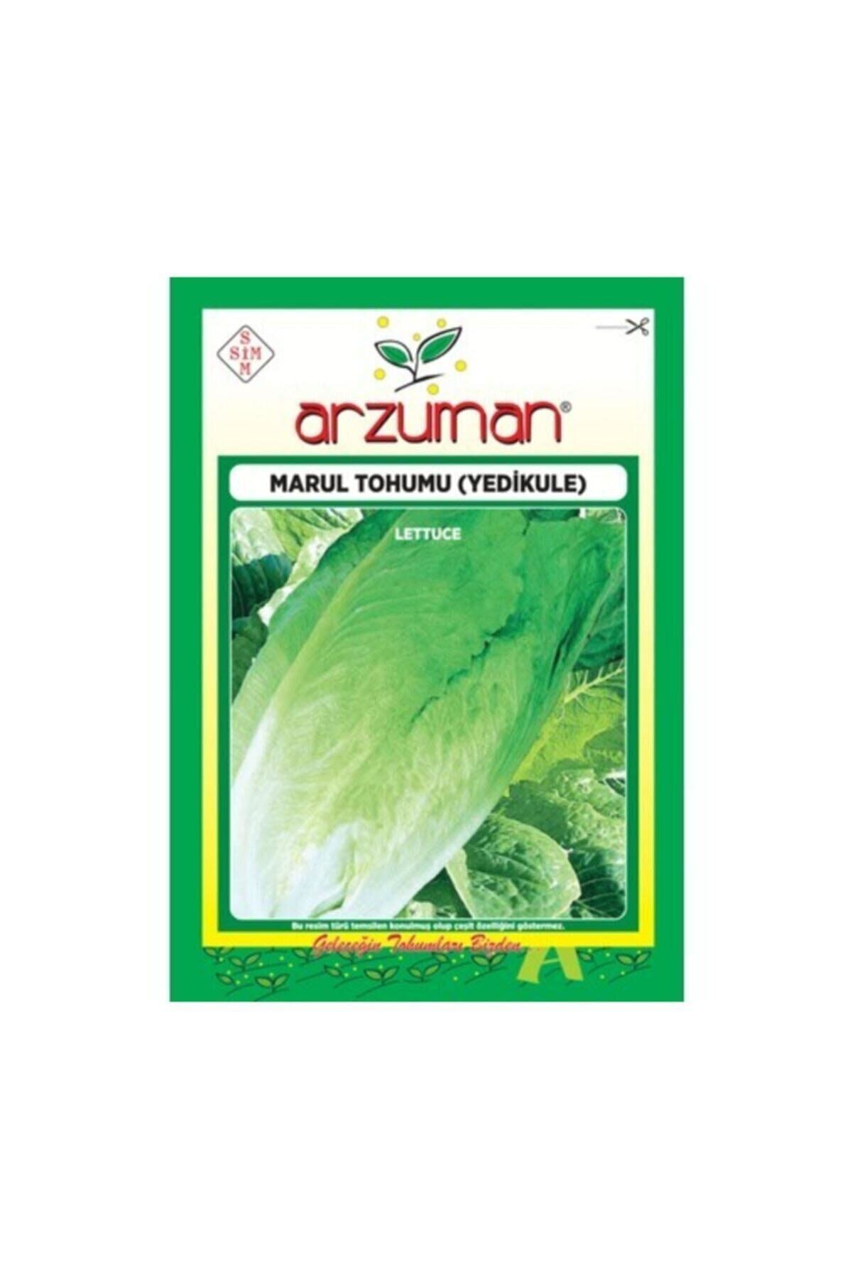 Arzuman Tohum Arzuman Marul Tohumu Yedikule