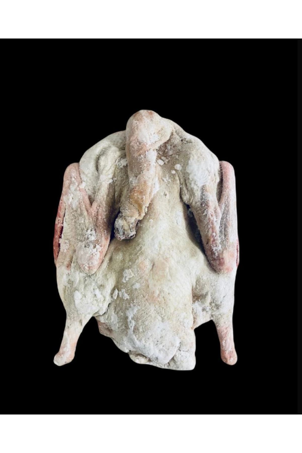GÜRCAN Kurutulmuş Mast Kazı Eti (3750-4250 Kg Arası)