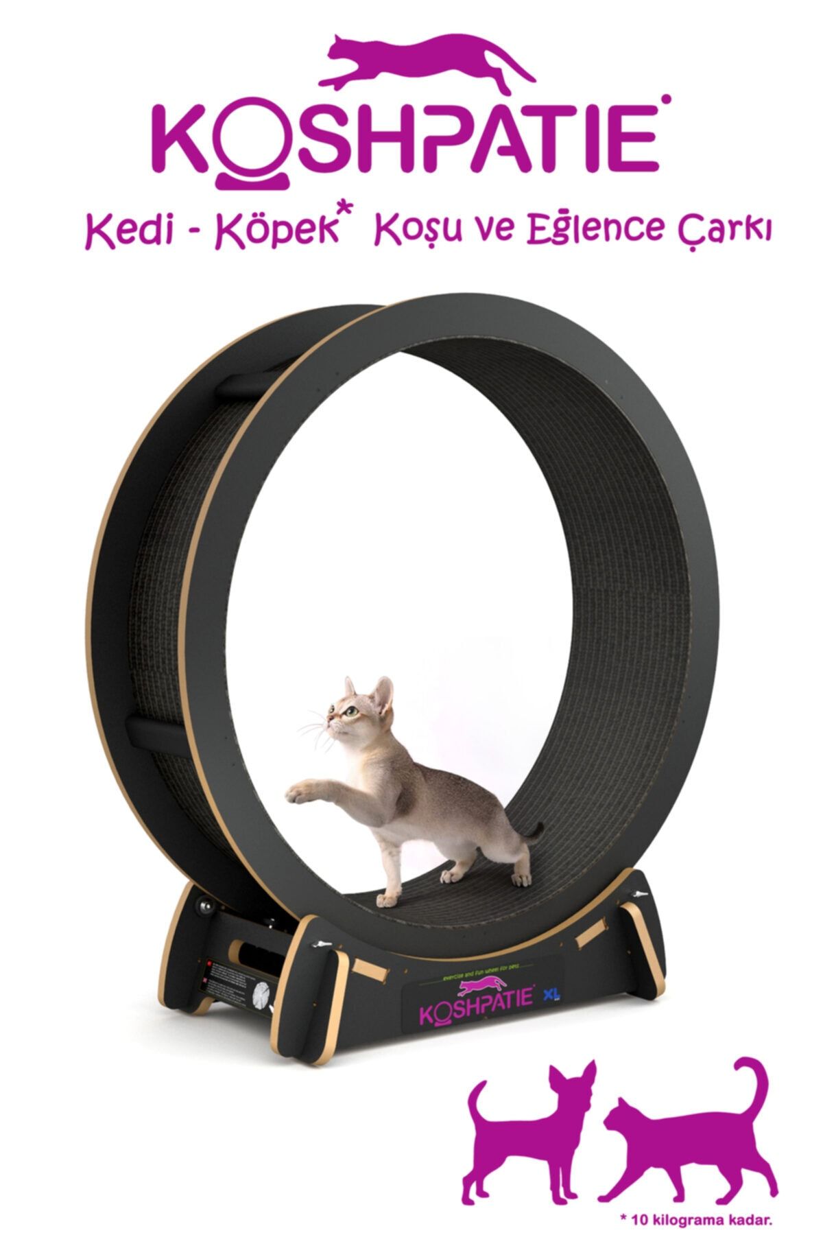 designeddin Kedi - Köpek Xl Yürüyüş Ve Koşu Bandı - Eğlence Çarkı